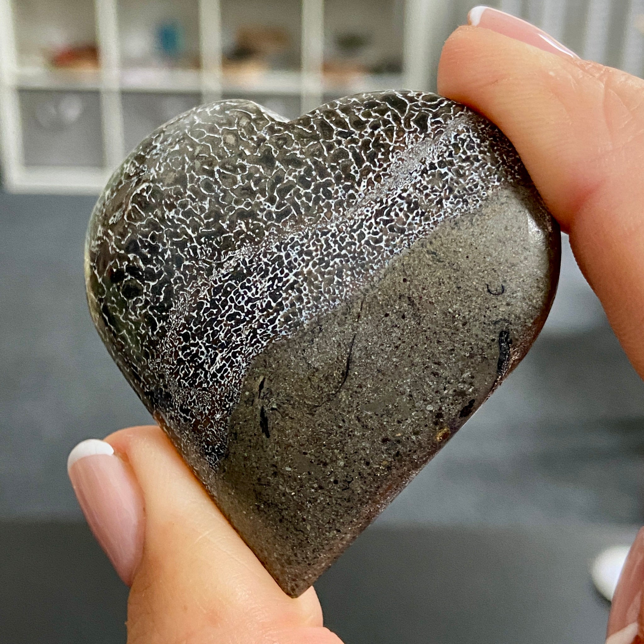 Dinosaur Bone Heart – Morocco