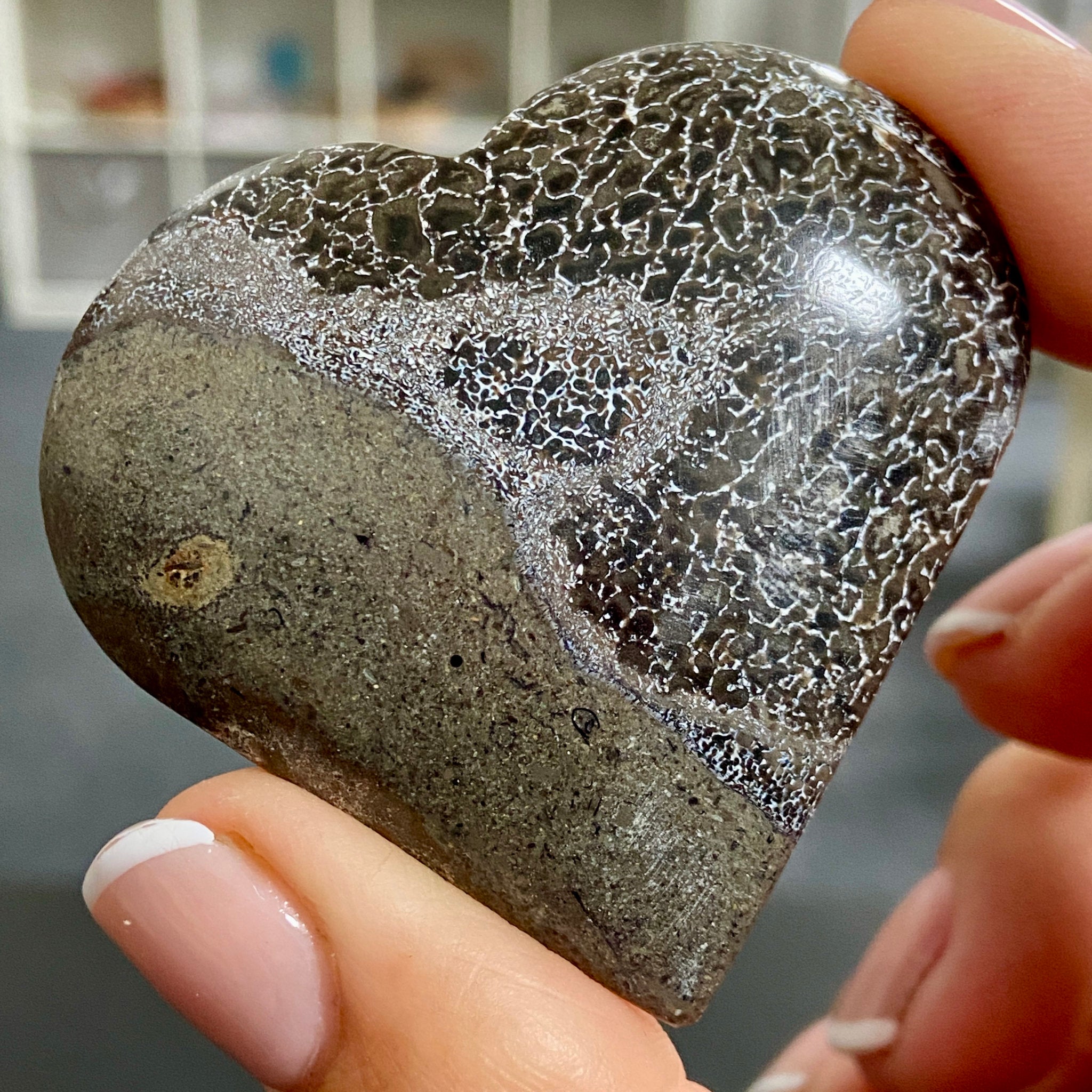 Dinosaur Bone Heart – Morocco