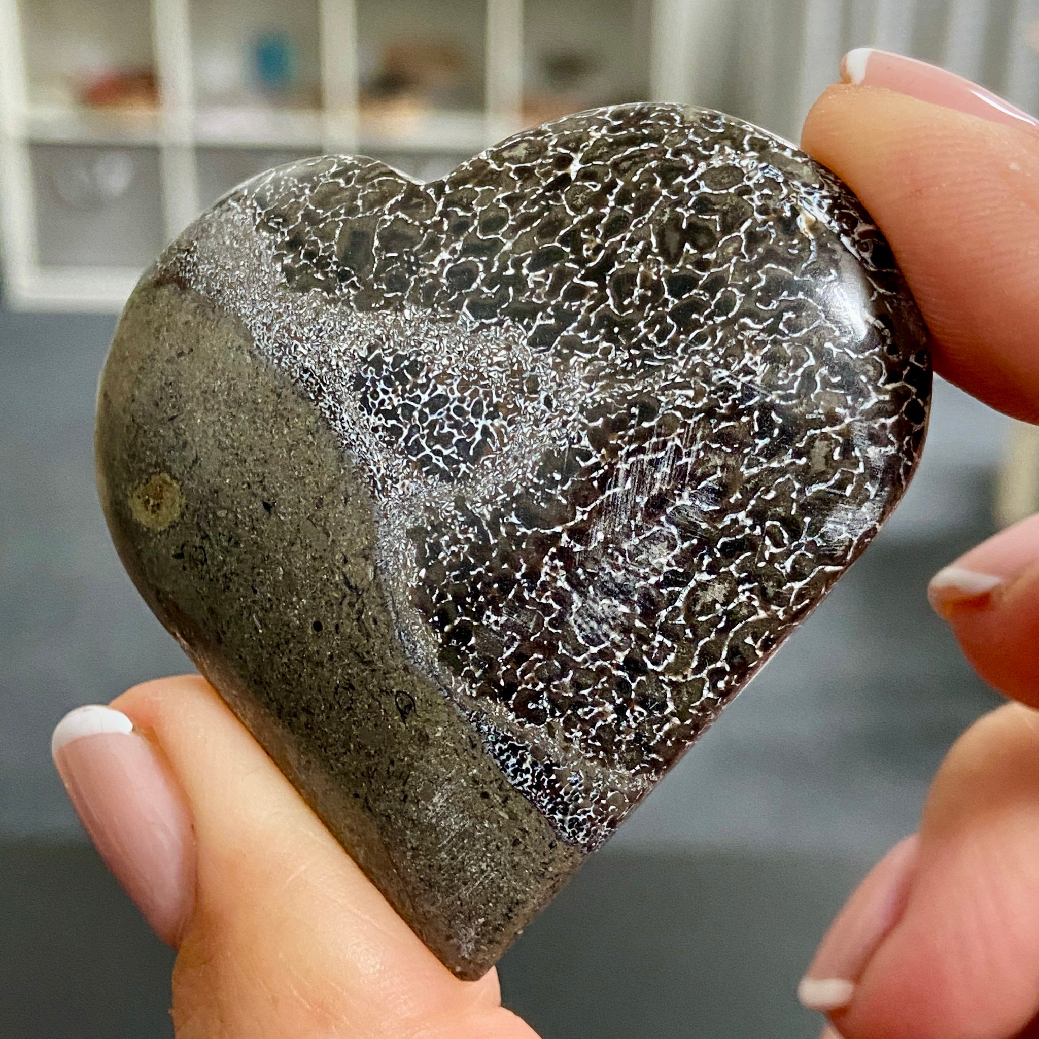 Dinosaur Bone Heart – Morocco
