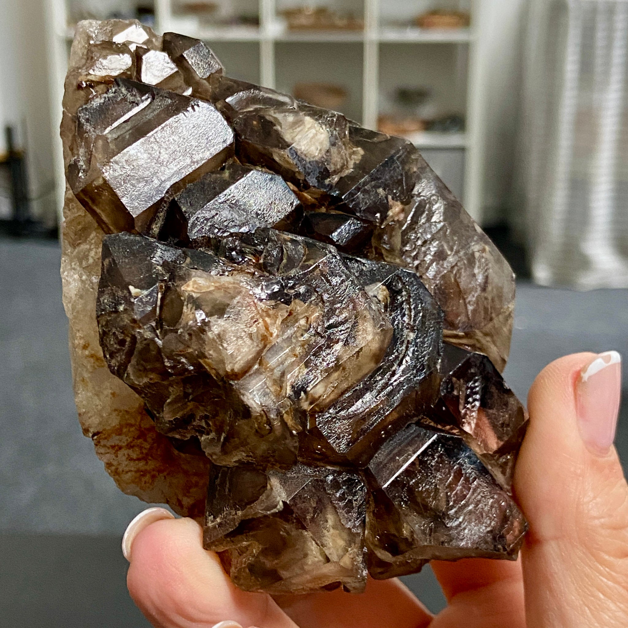 Private Collection - Smoky Elestial Quartz Cluster – Brazil