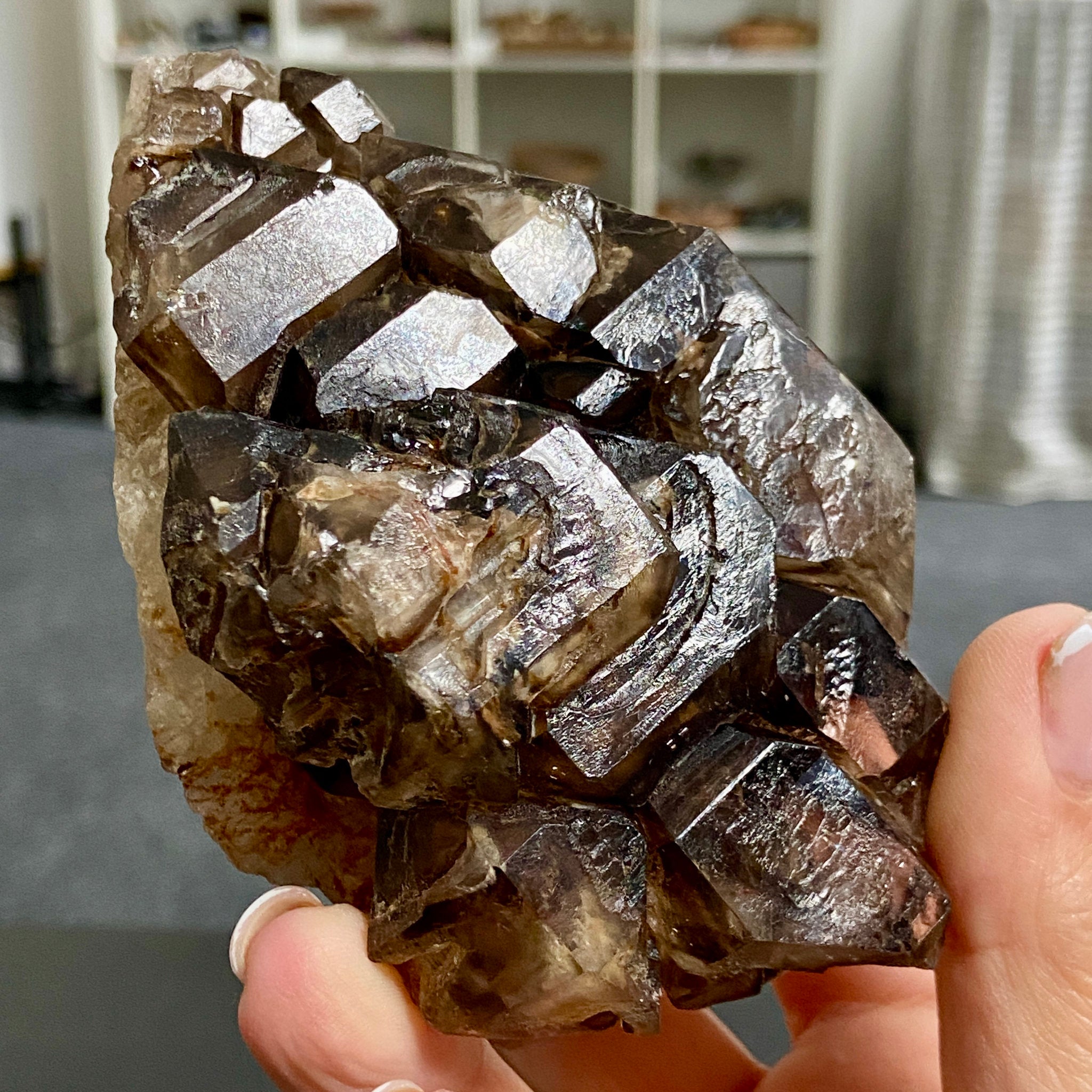 Private Collection - Smoky Elestial Quartz Cluster – Brazil
