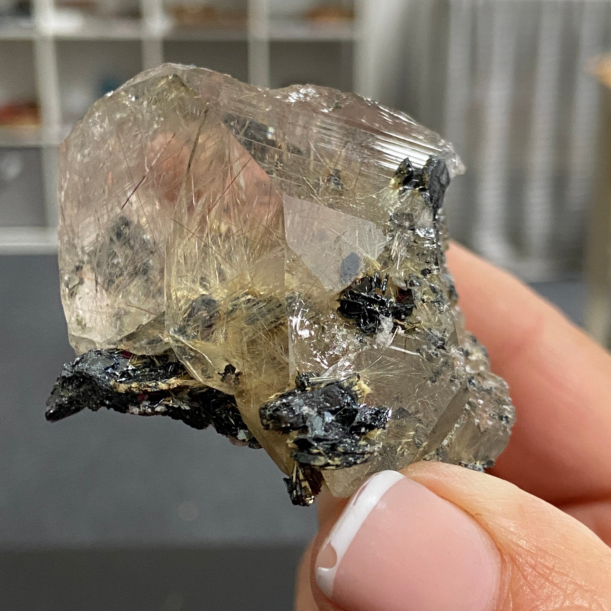 Smoky Quartz with Golden Rutile & Metallic Hematite – Brazil