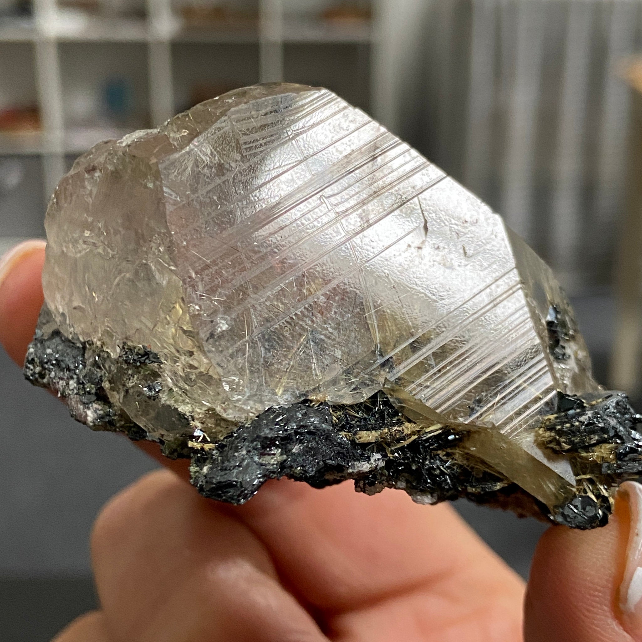 Smoky Quartz with Golden Rutile & Metallic Hematite – Brazil