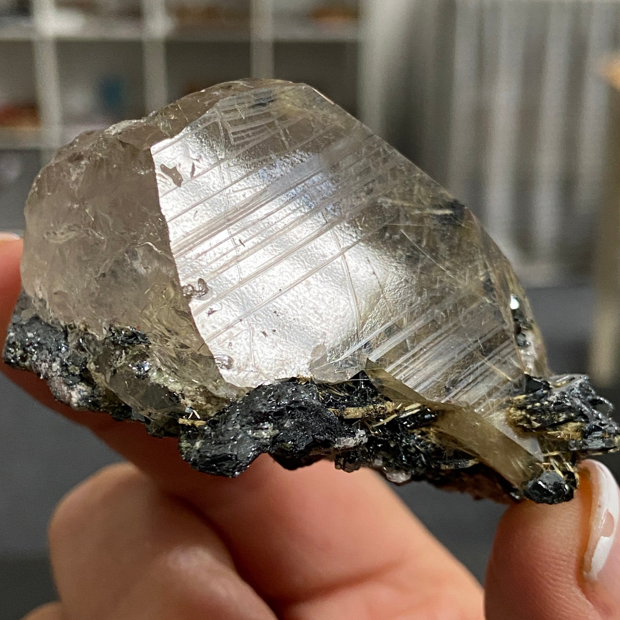 Smoky Quartz with Golden Rutile & Metallic Hematite – Brazil