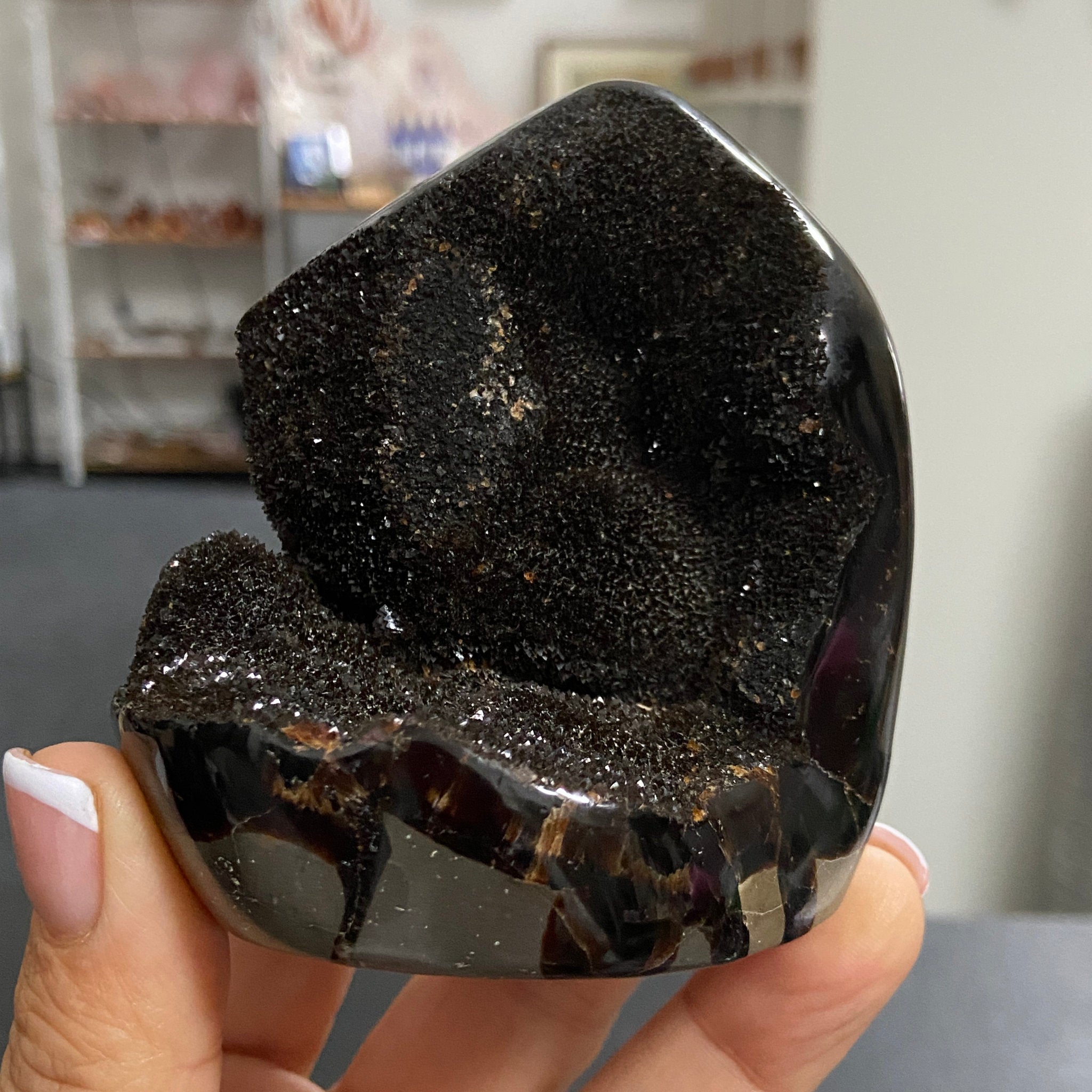 Septarian Freeform – Madagascar