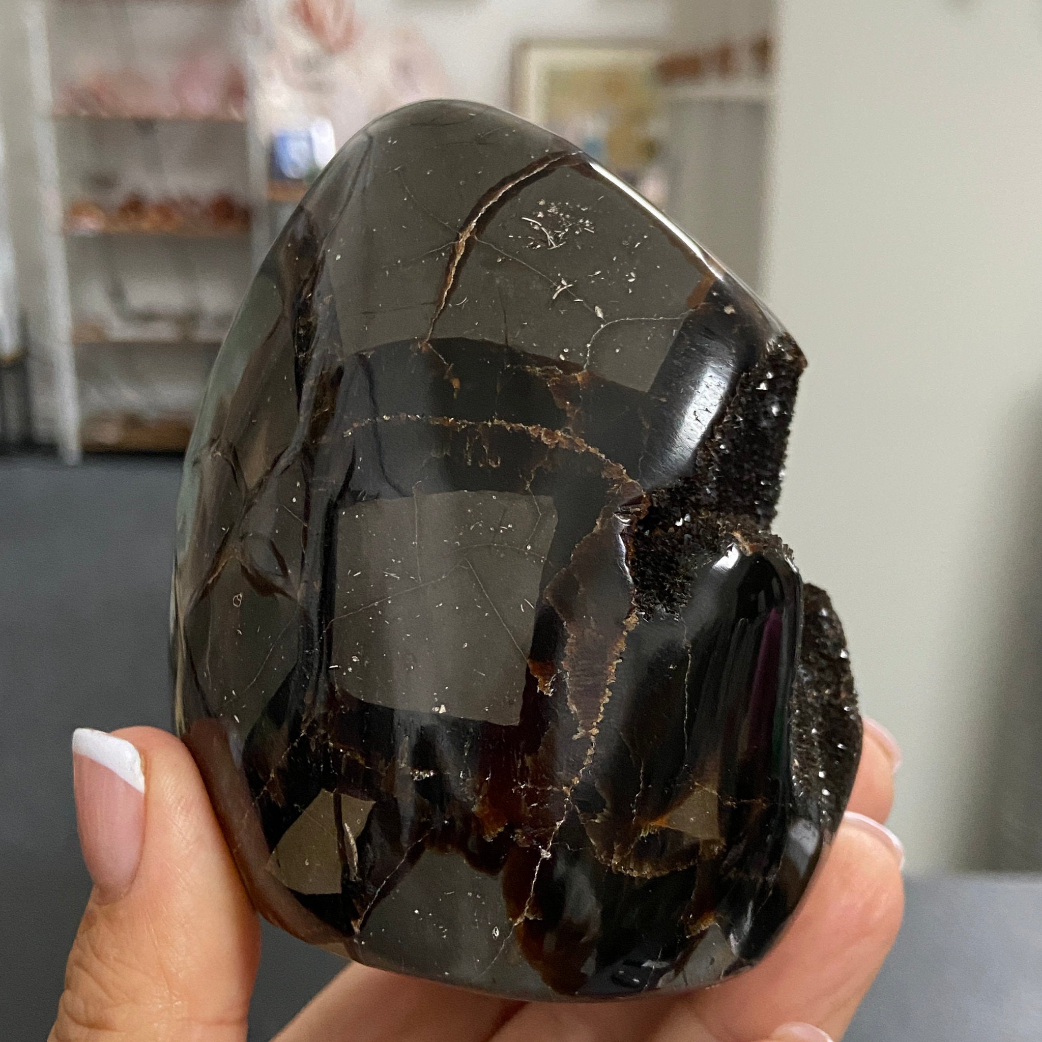 Septarian Freeform – Madagascar