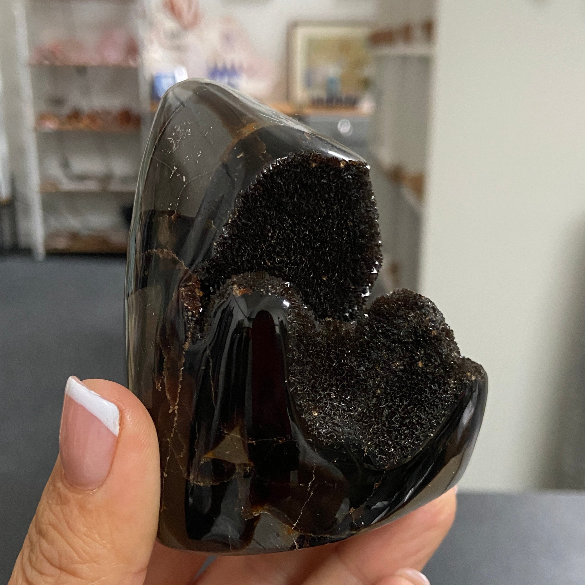 Septarian Freeform – Madagascar