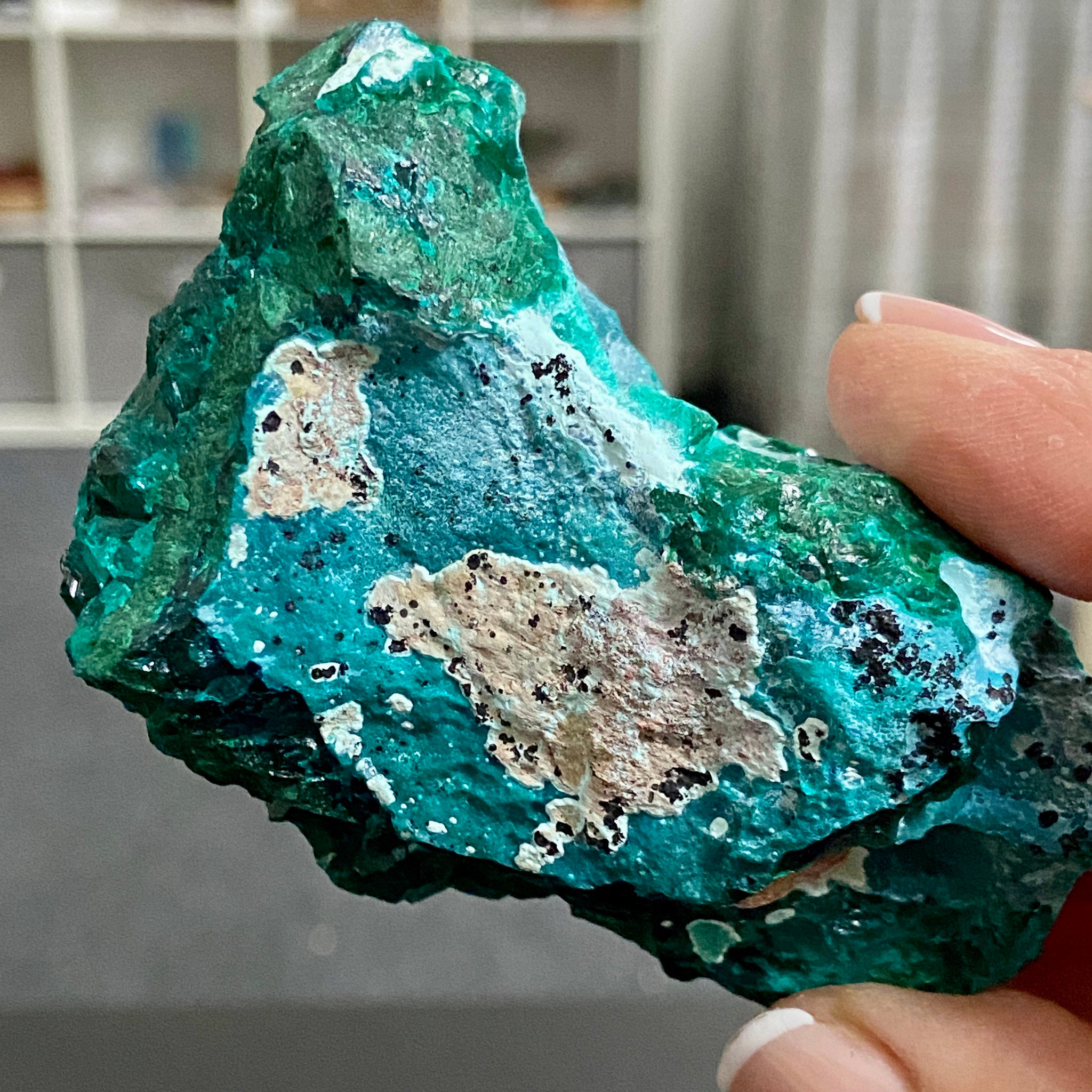 Private Collection - Dioptase