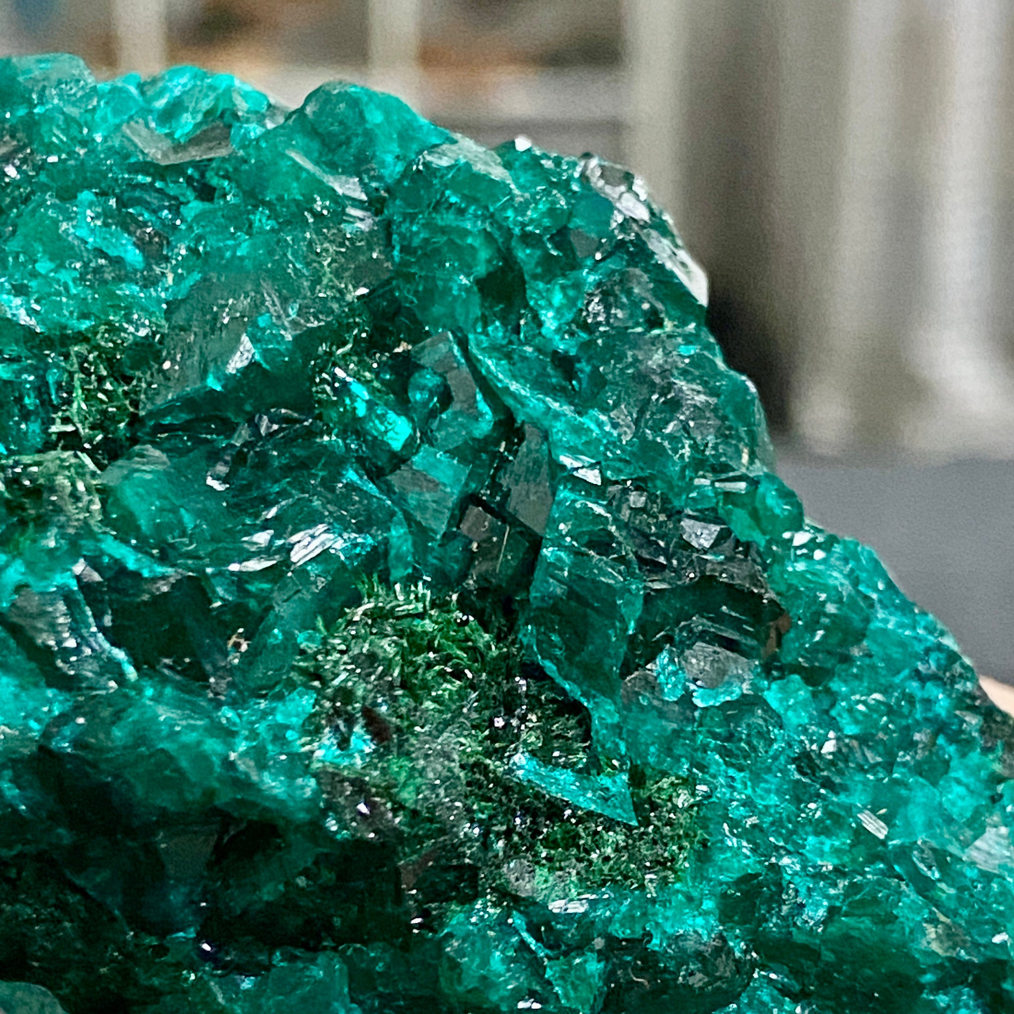 Private Collection - Dioptase