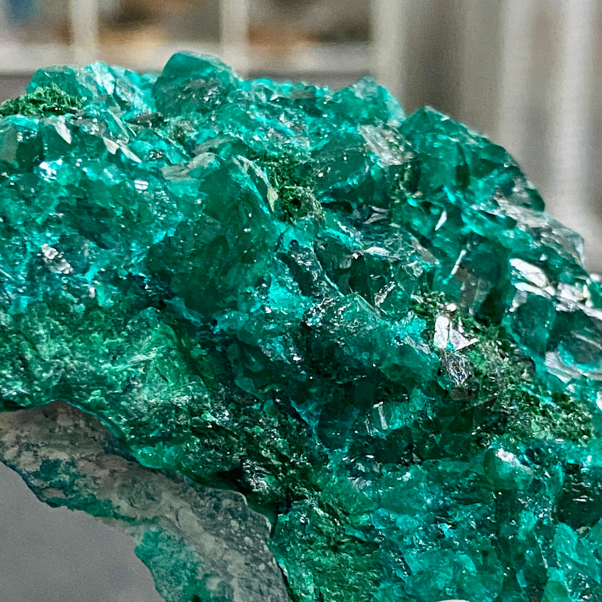 Private Collection - Dioptase