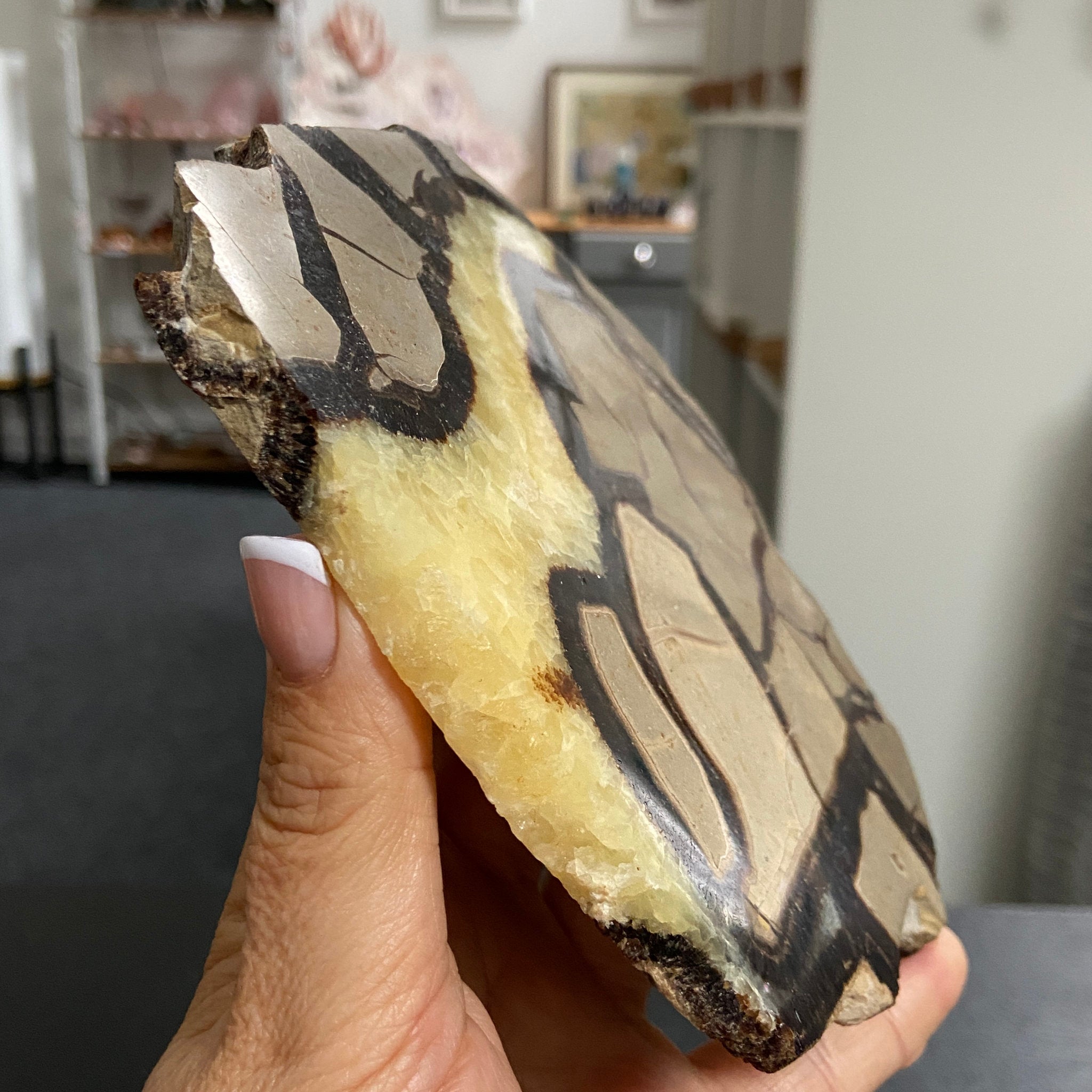 Septarian Slab – Madagascar