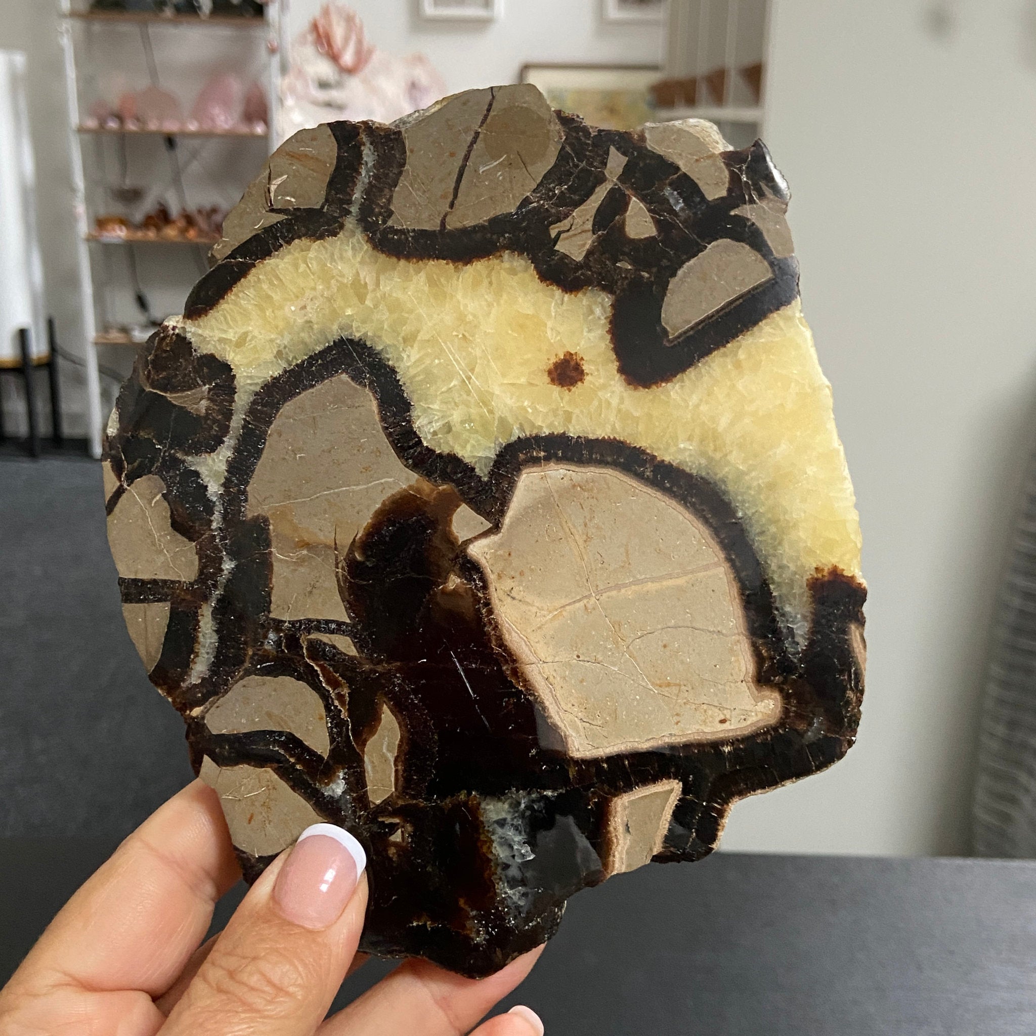 Septarian Slab – Madagascar