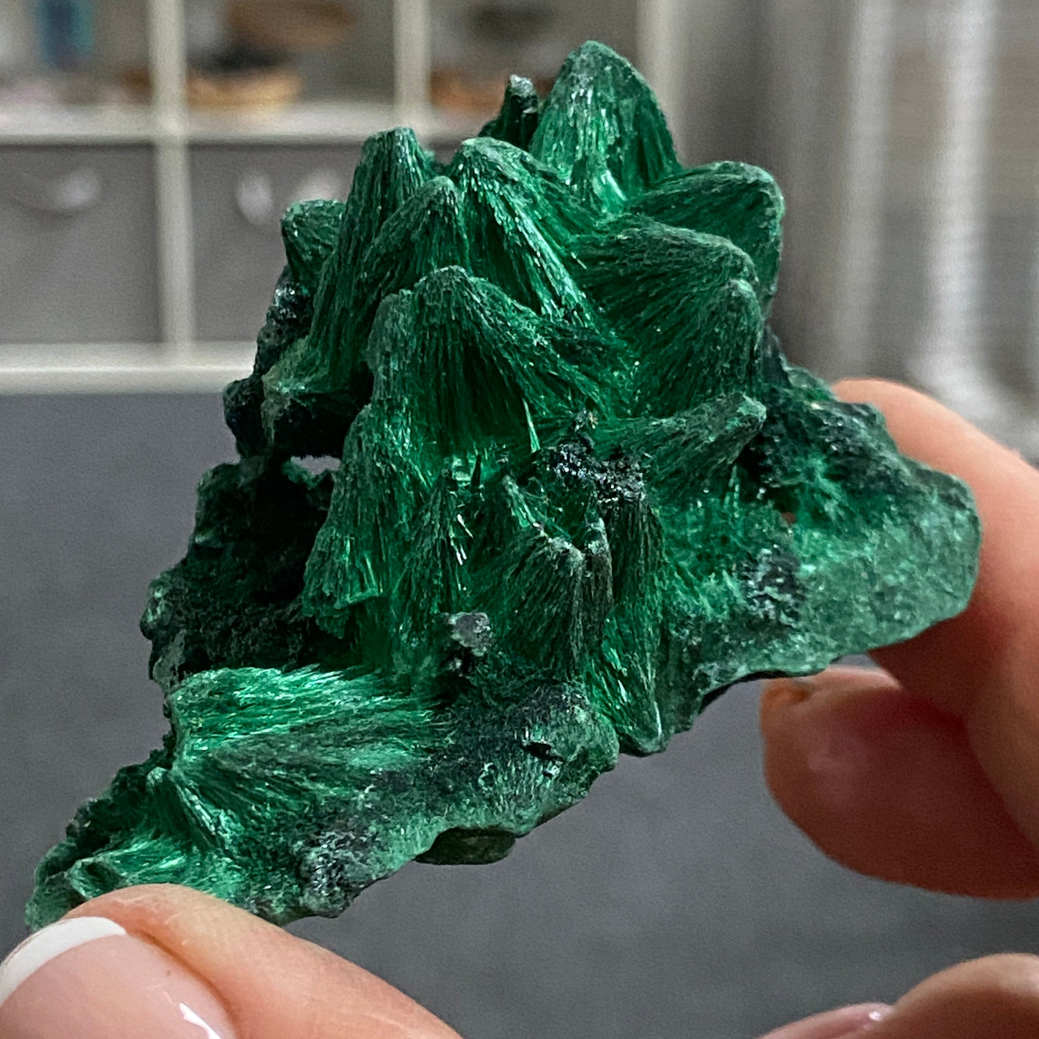 Private Collection - AAA Velvet Malachite