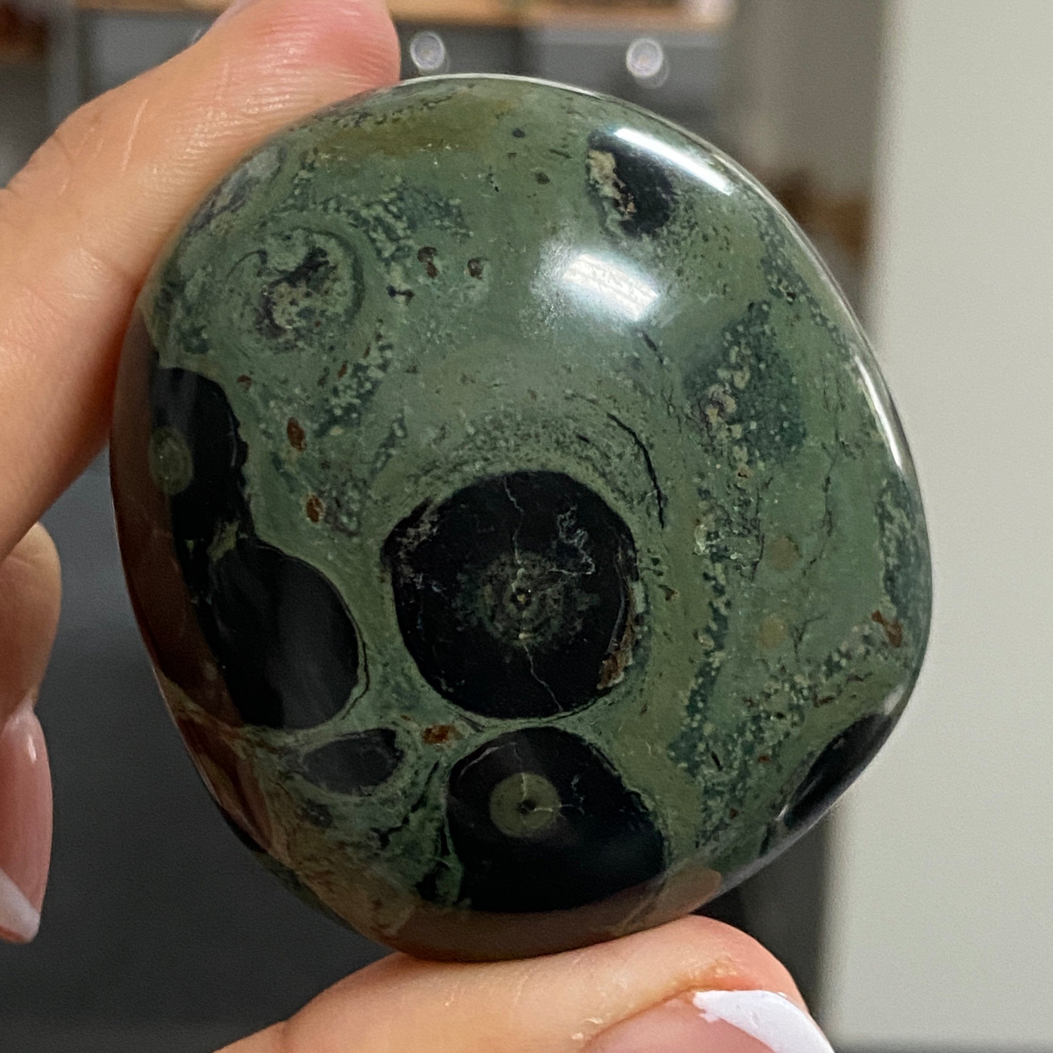 Kambaba Jasper Palmstone – Madagascar