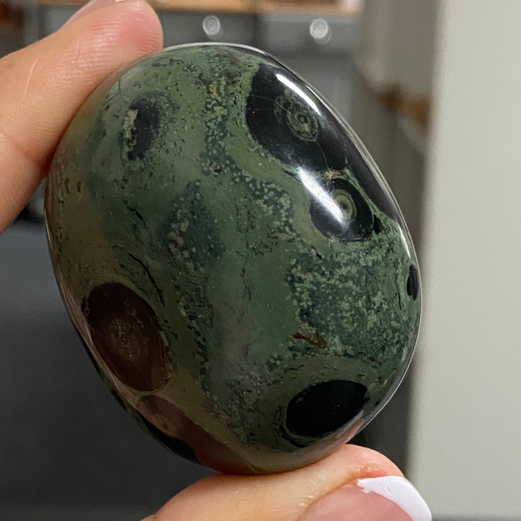 Kambaba Jasper Palmstone – Madagascar