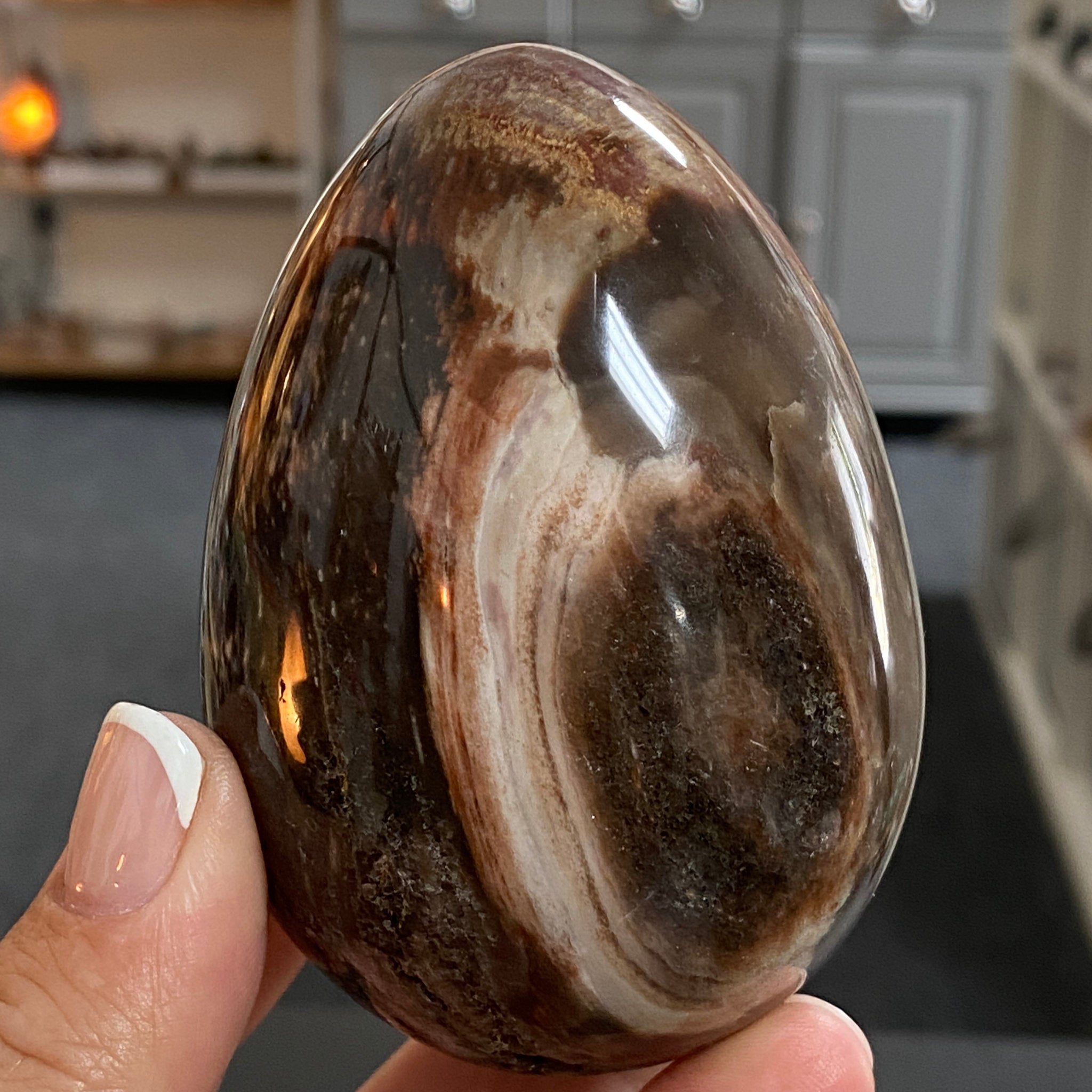🪵 Fossilised Wood Egg – Madagascar