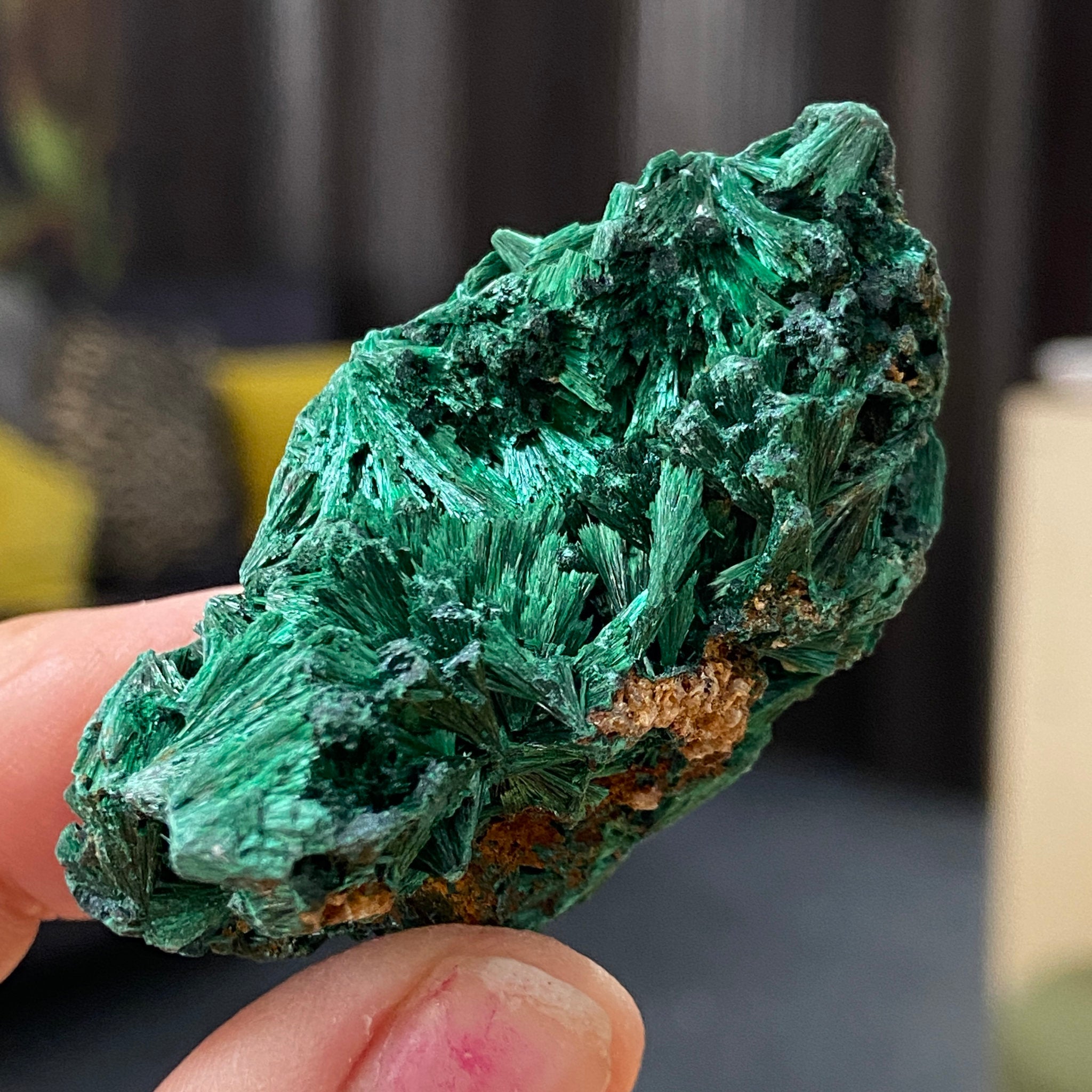 Velvet Malachite
