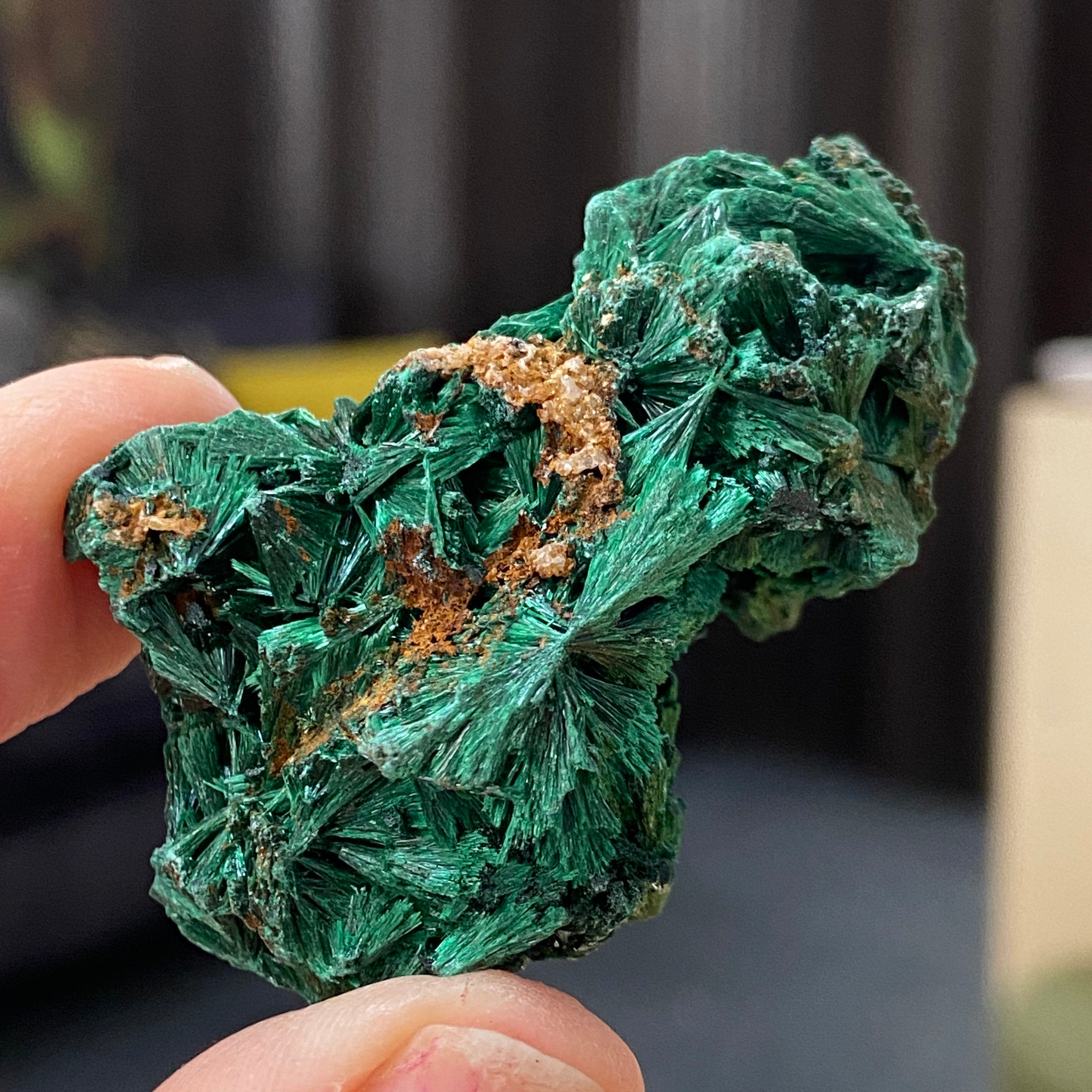 Velvet Malachite