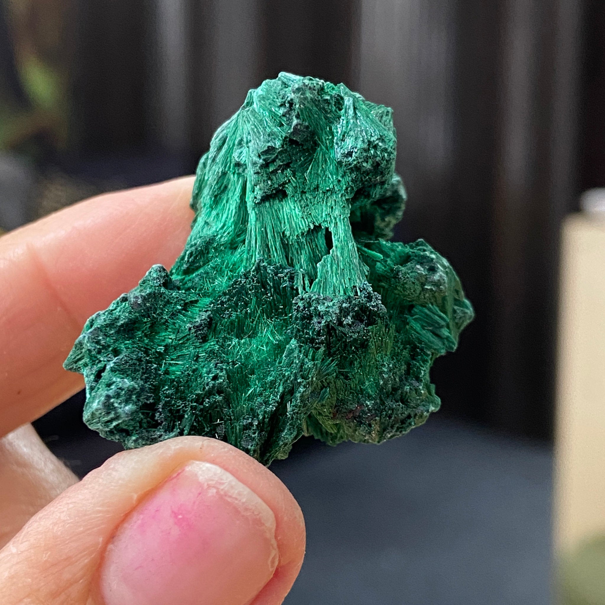 Velvet Malachite