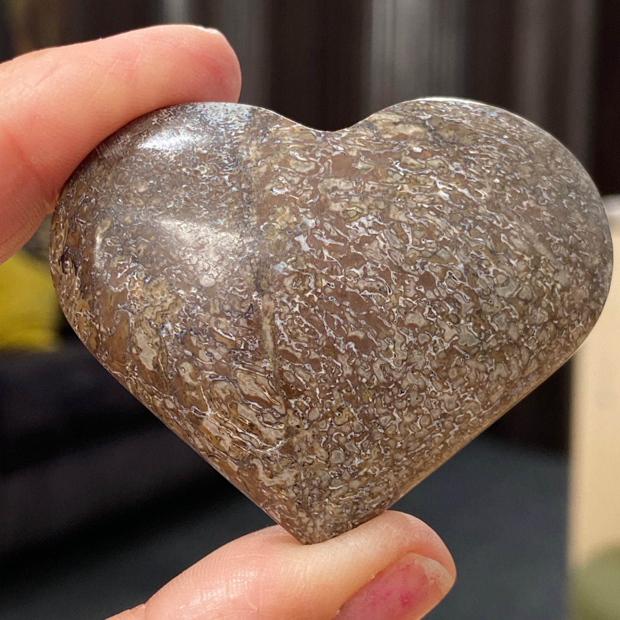 Dinosaur Bone Heart – Morocco