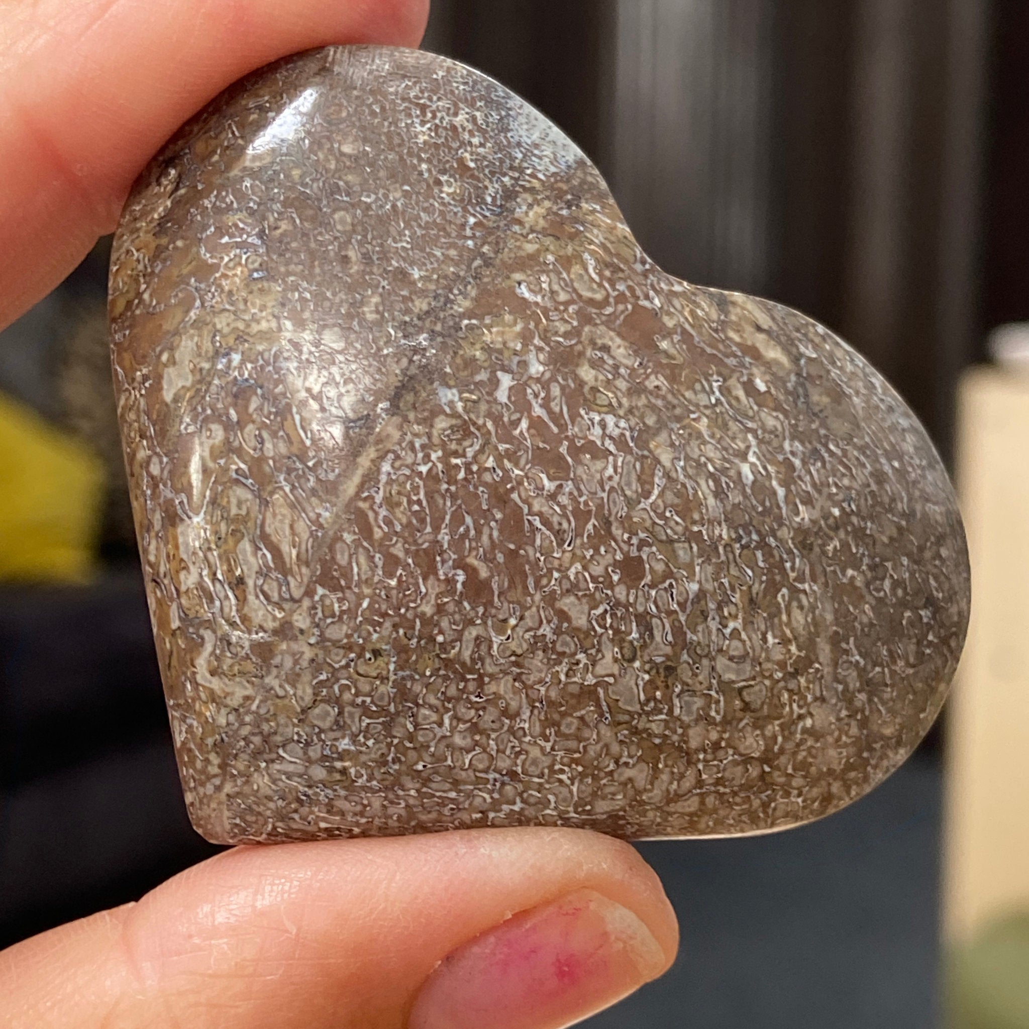 Dinosaur Bone Heart – Morocco