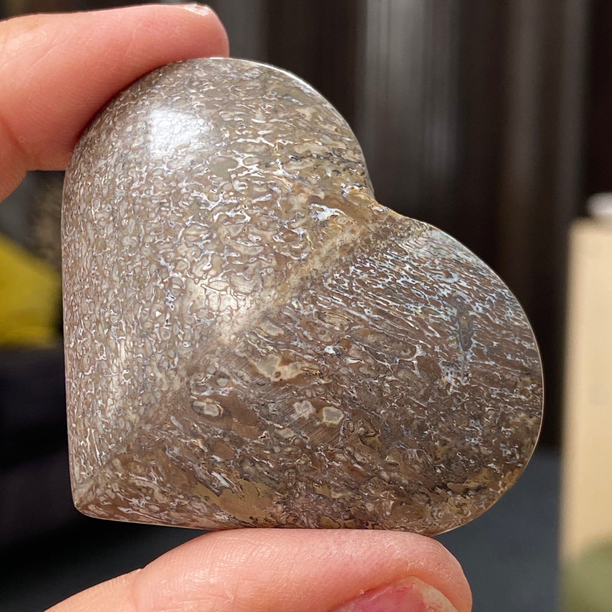 Dinosaur Bone Heart – Morocco