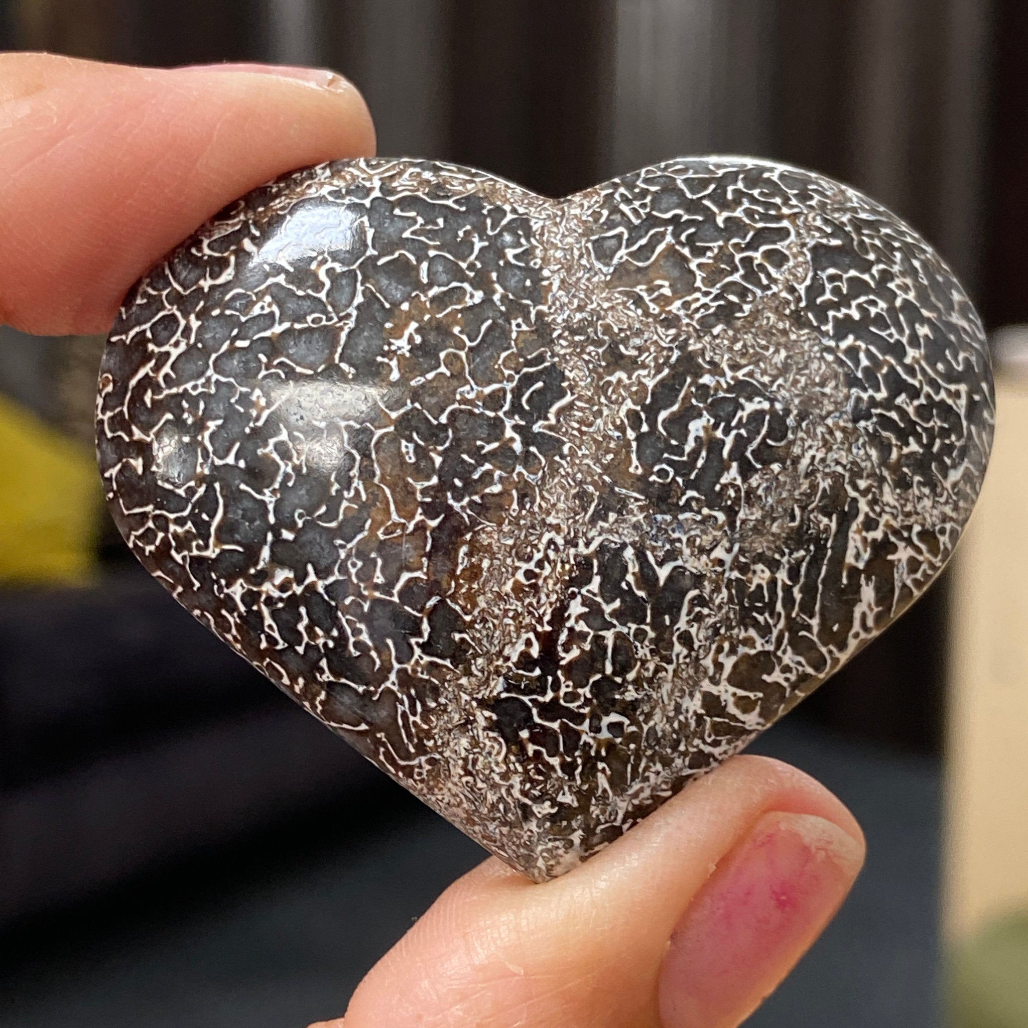 Dinosaur Bone Heart – Morocco