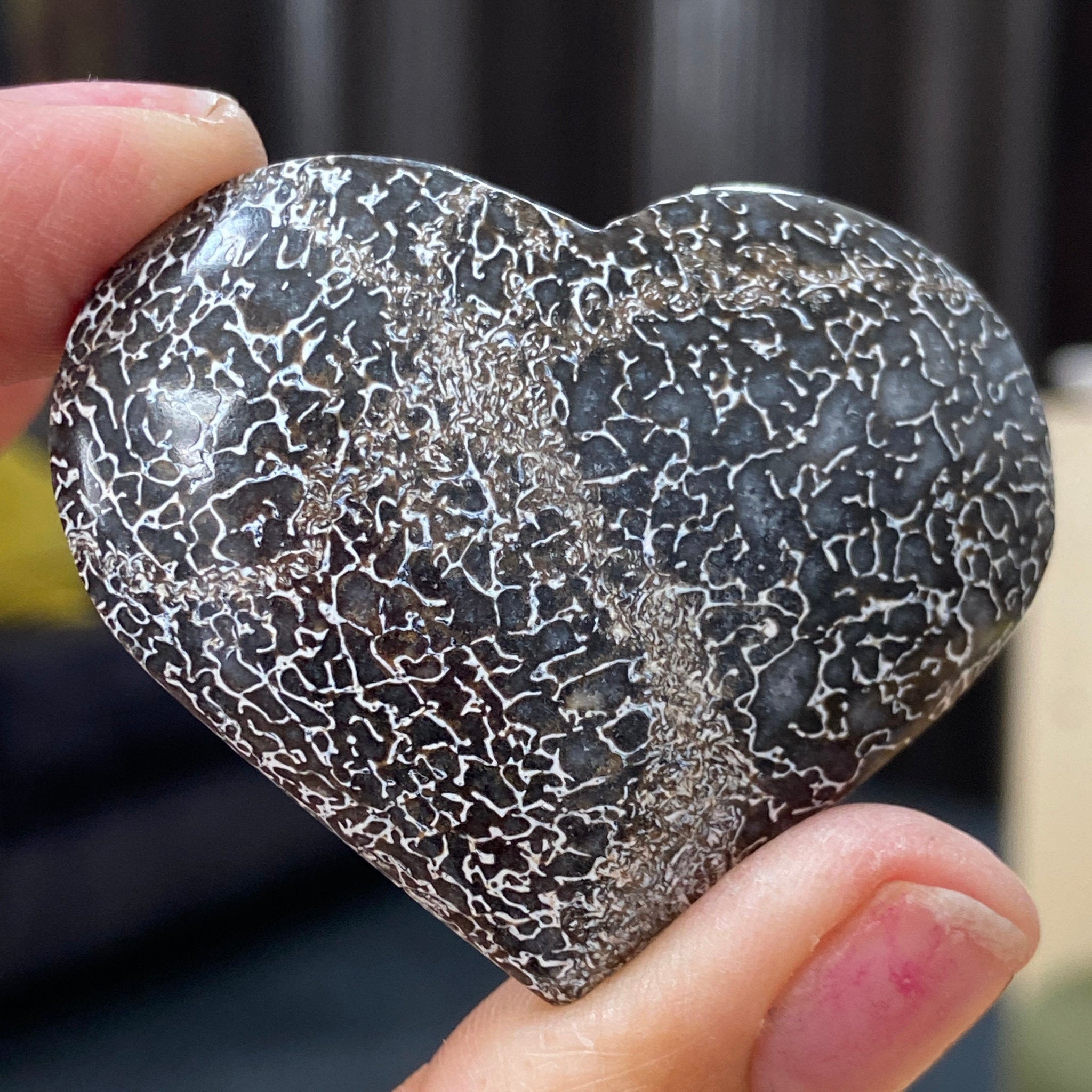 Dinosaur Bone Heart – Morocco