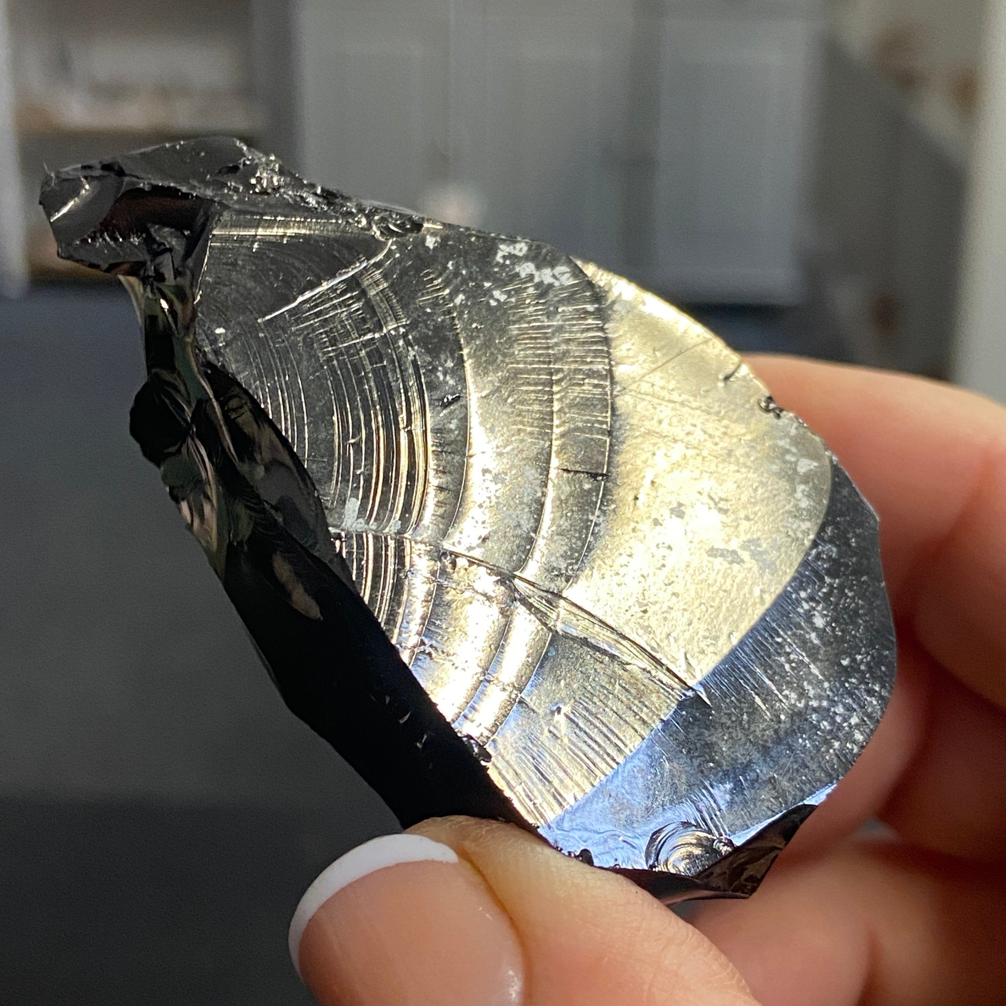 Elite ‘Noble’ Shungite