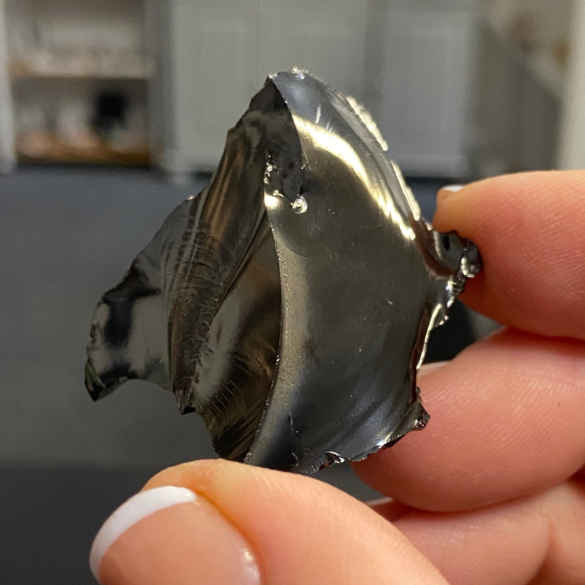 Elite ‘Noble’ Shungite