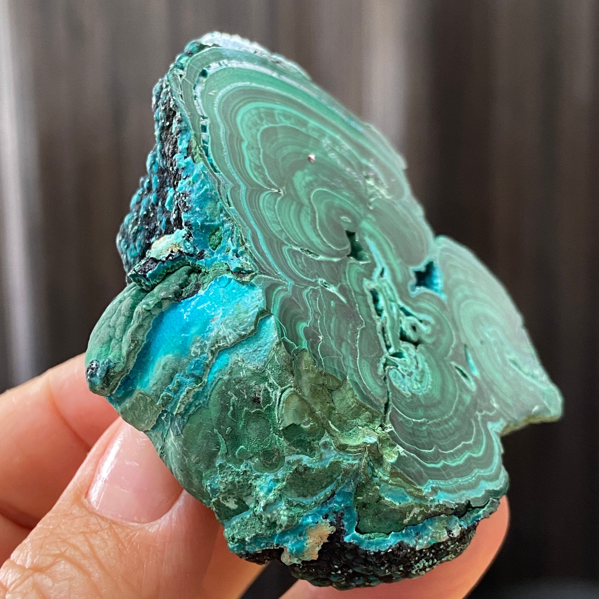 Malacolla - Peru