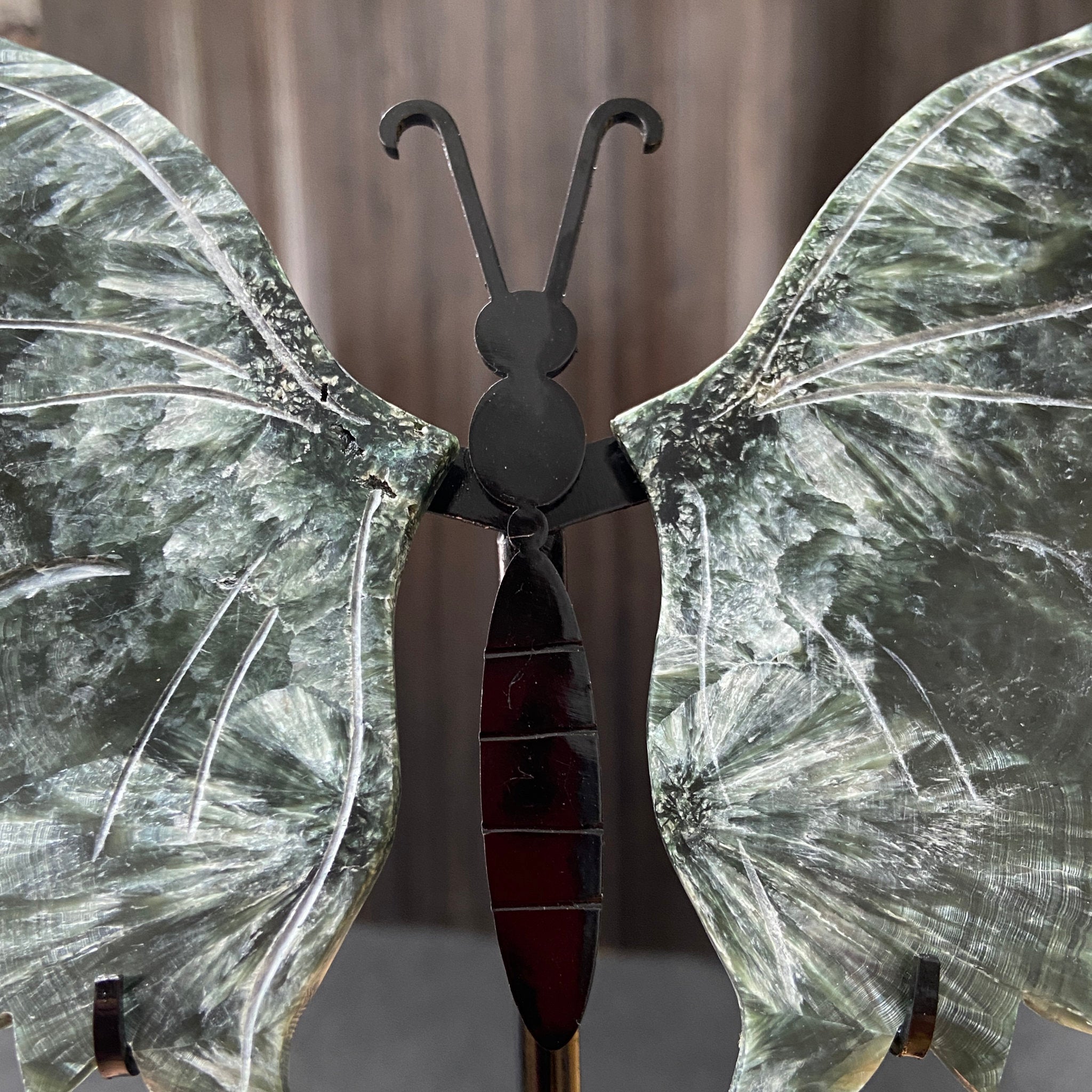 Seraphinite Butterfly Carving