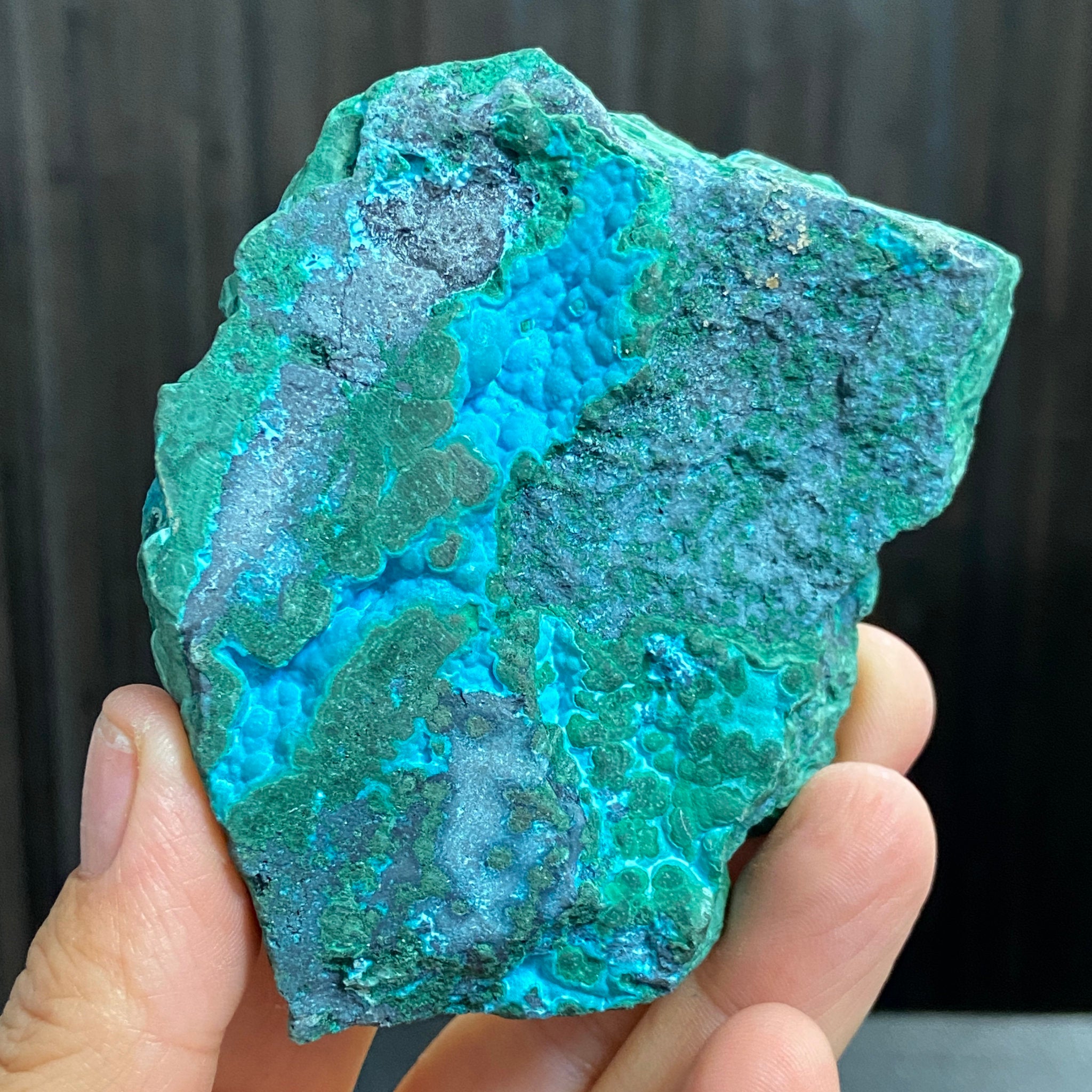 Malacolla - Peru