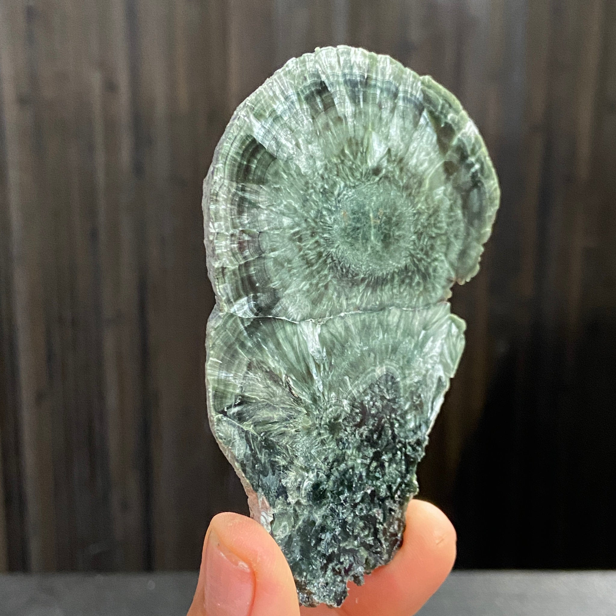 Seraphinite Slice – Russia