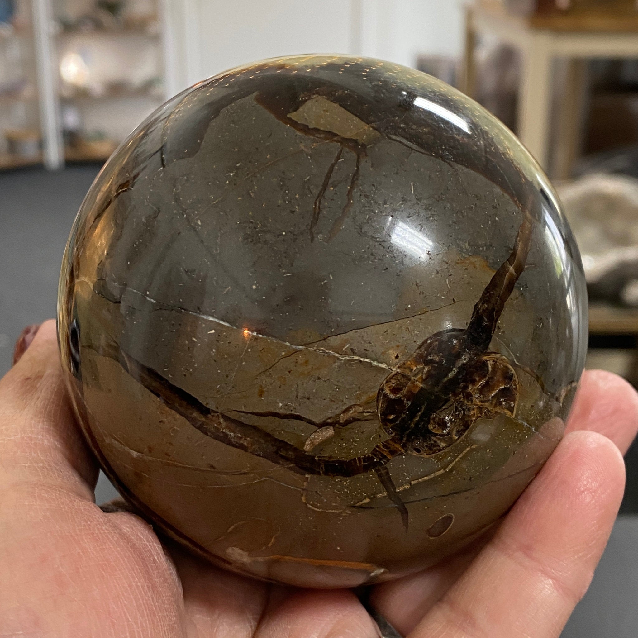 Septarian Dragon Stone Sphere