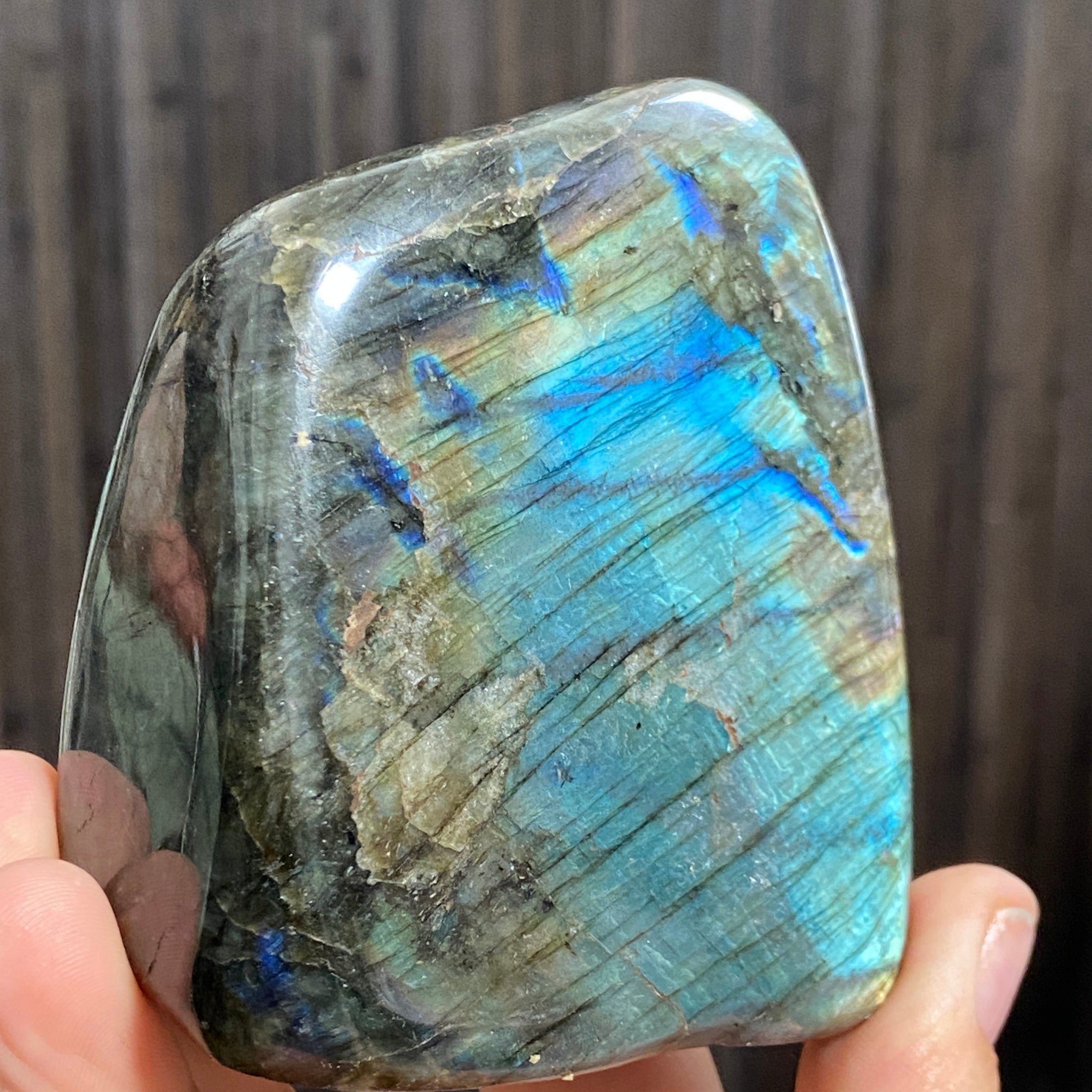Madagascan “Papillon” Labradorite