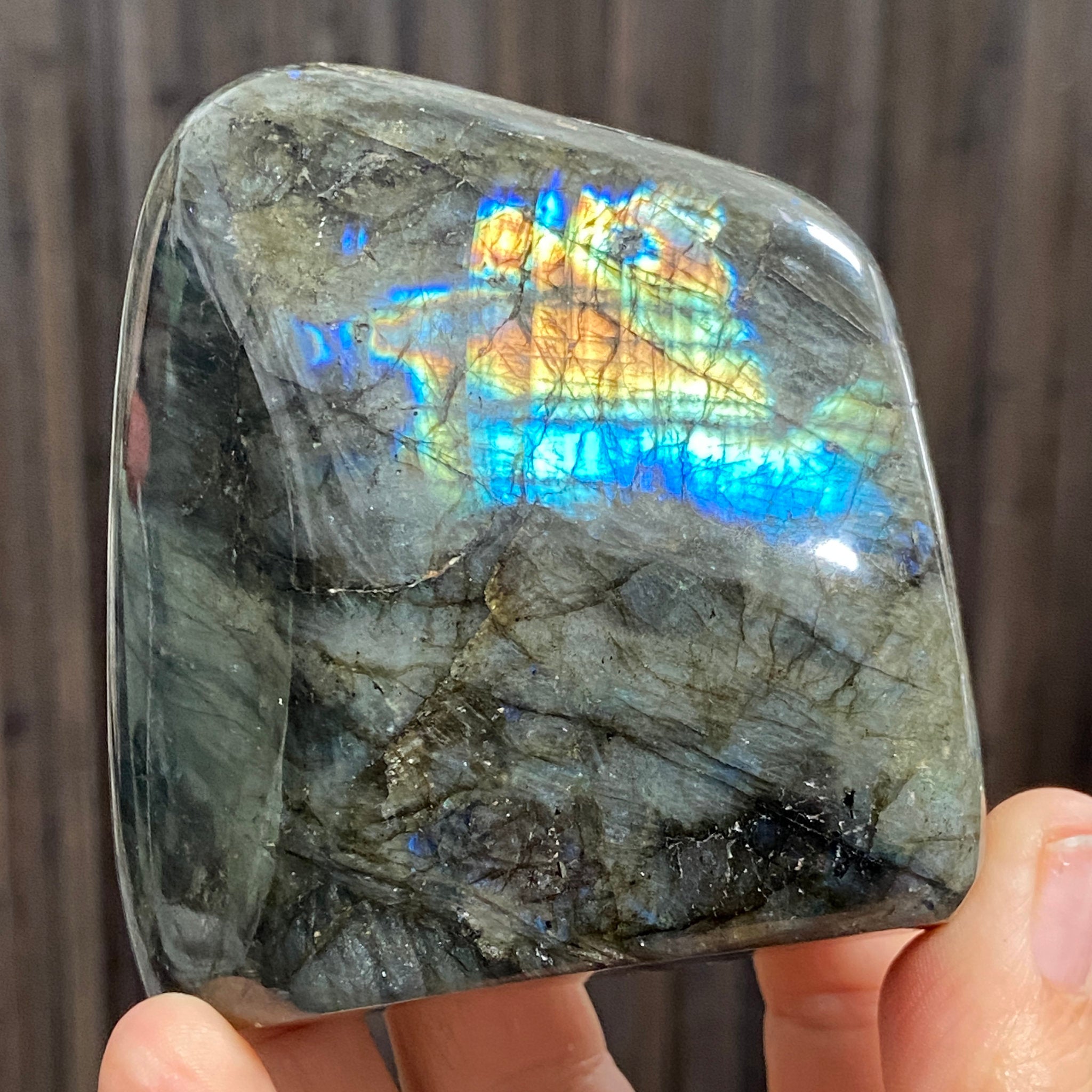 Madagascan “Papillon” Labradorite