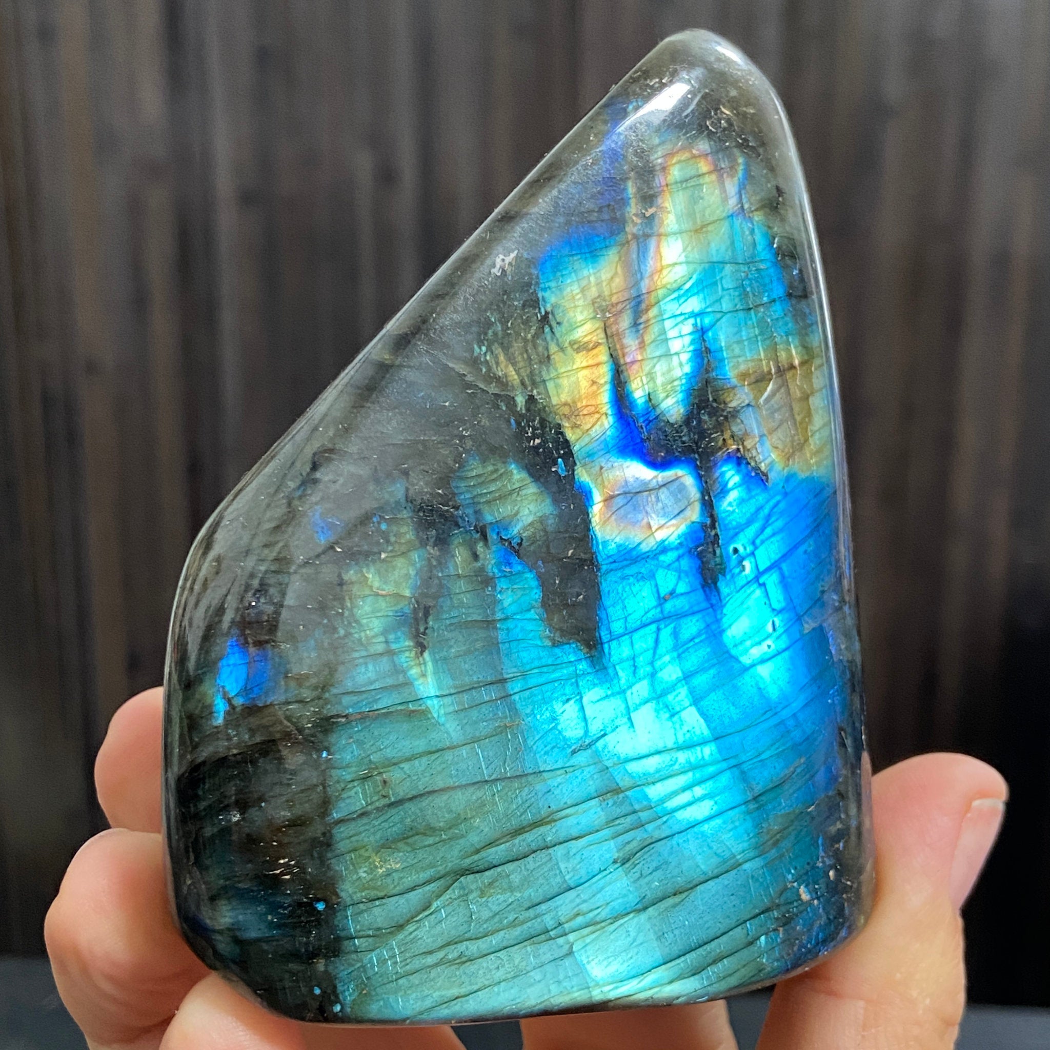 Madagascan “Papillon” Labradorite