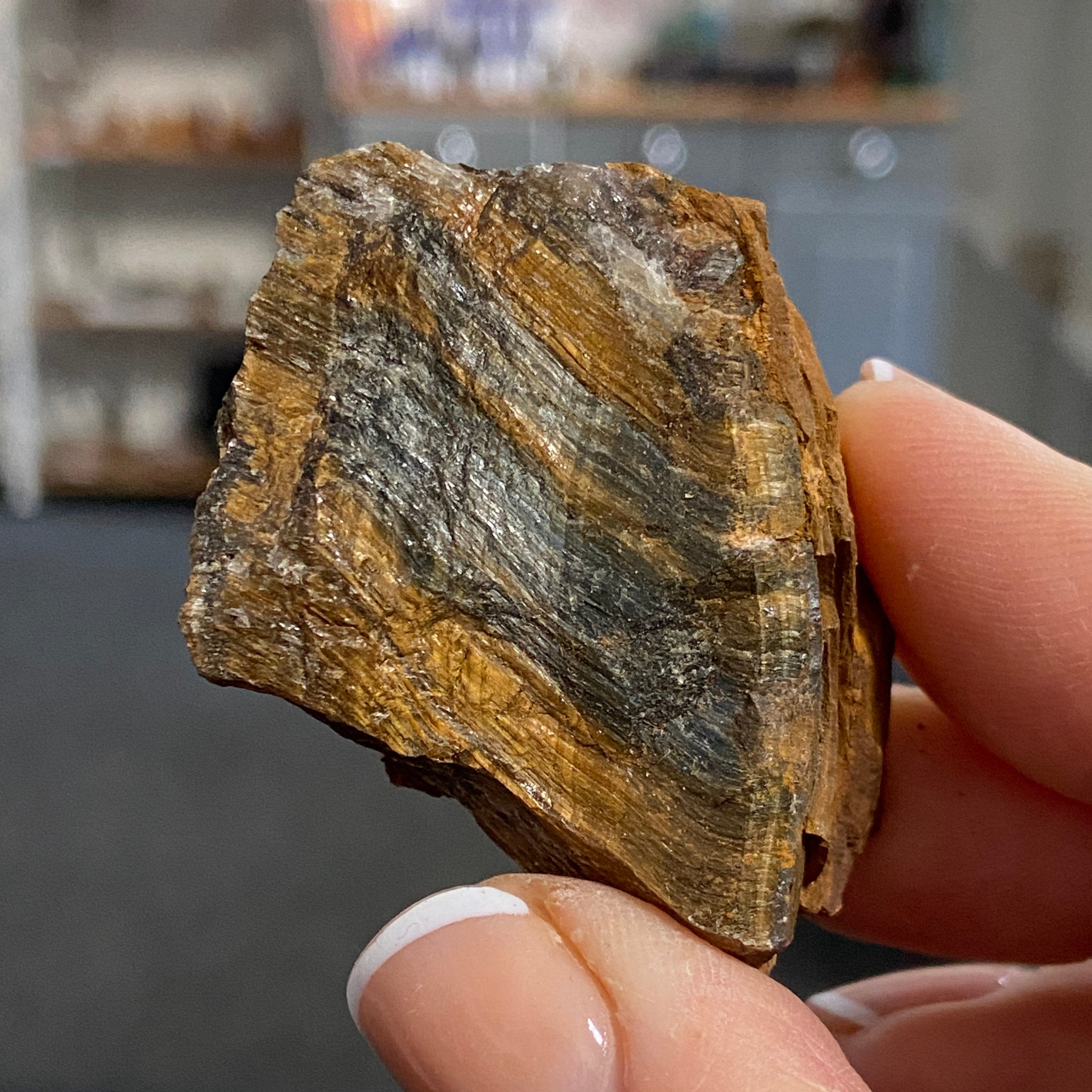 Tiger’s Eye – South Africa