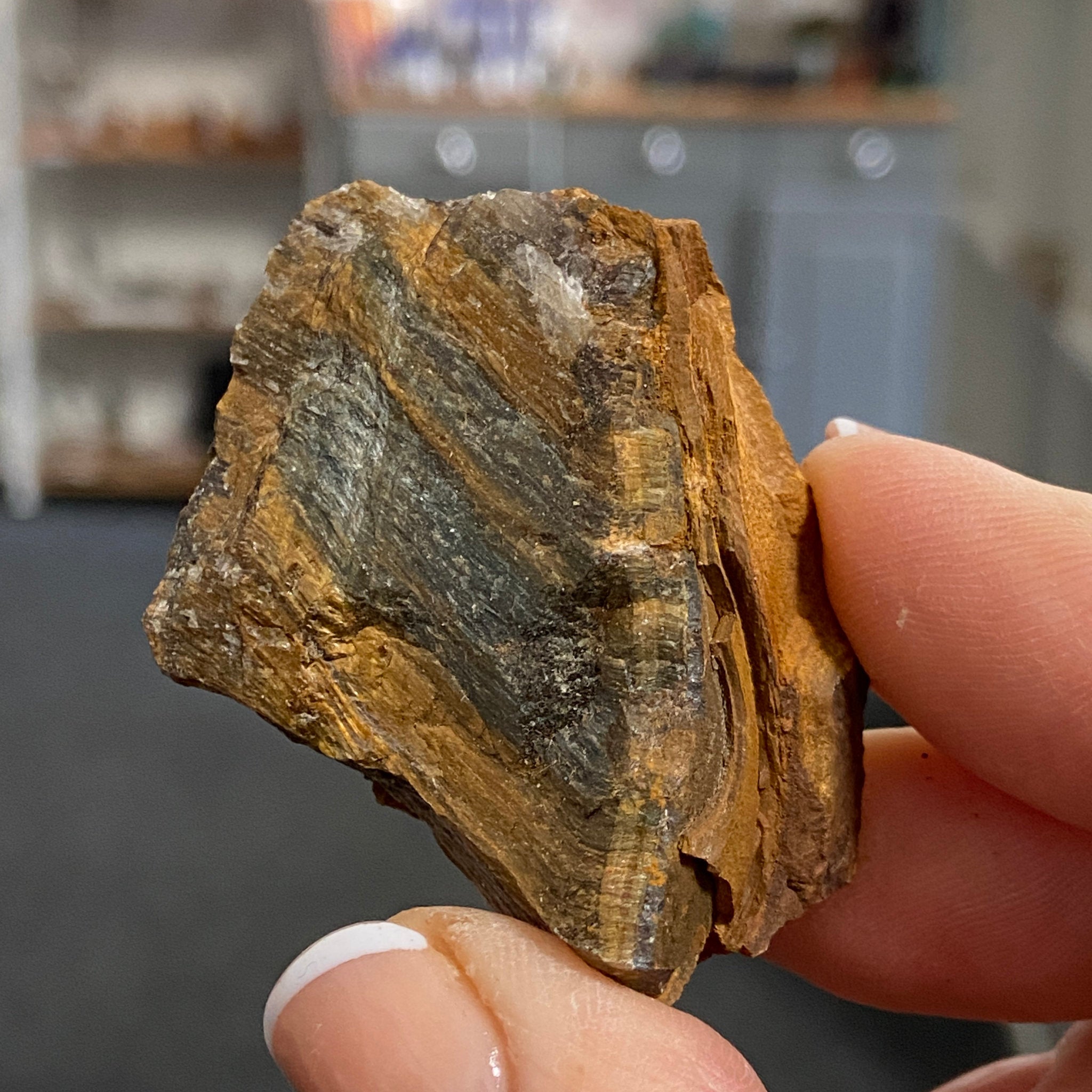 Tiger’s Eye – South Africa
