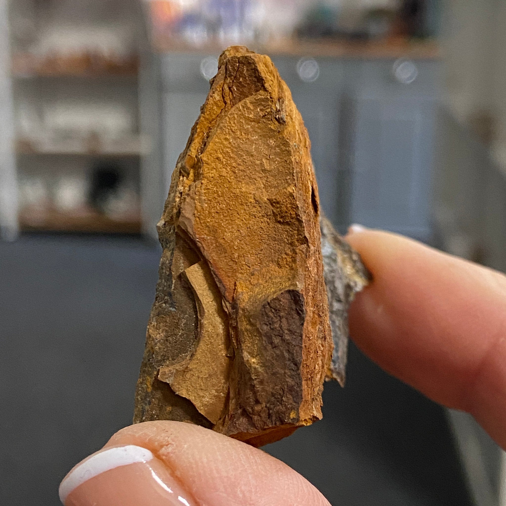 Tiger’s Eye – South Africa