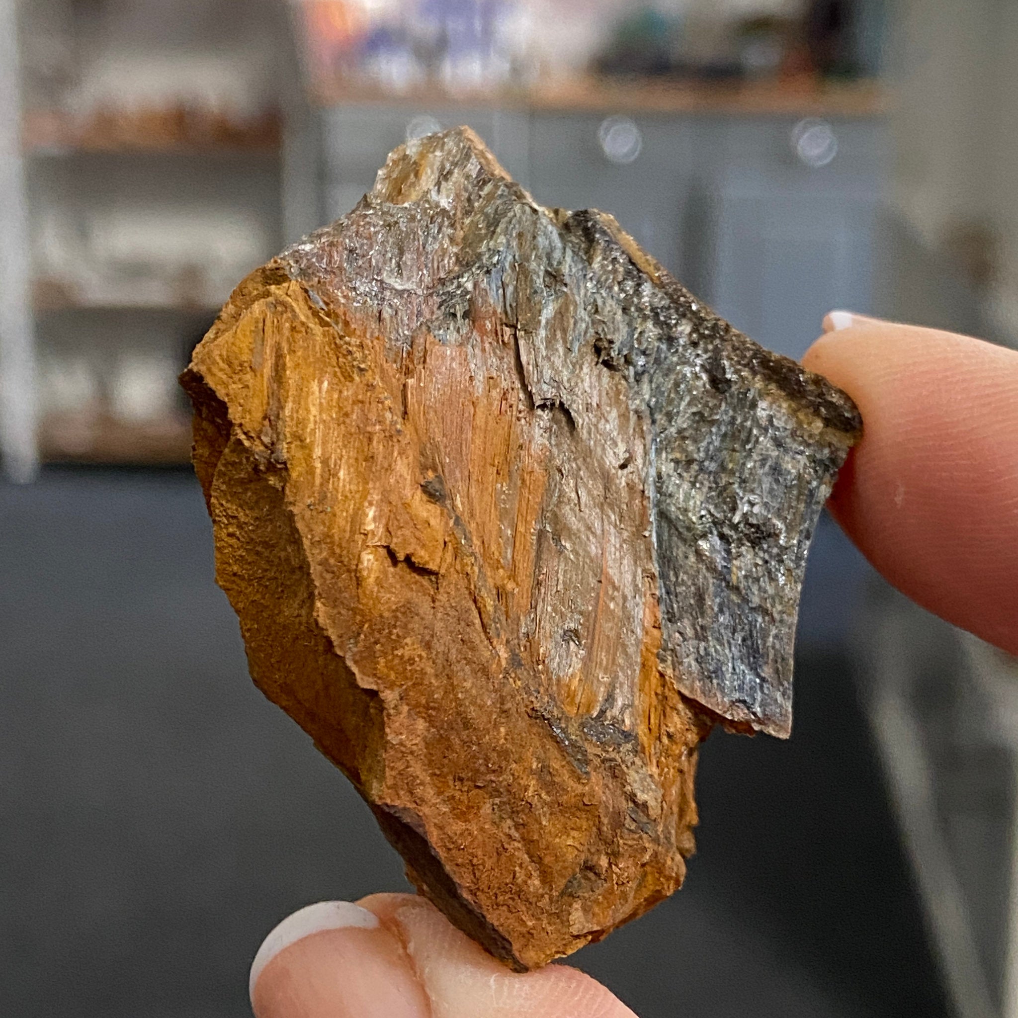 Tiger’s Eye – South Africa