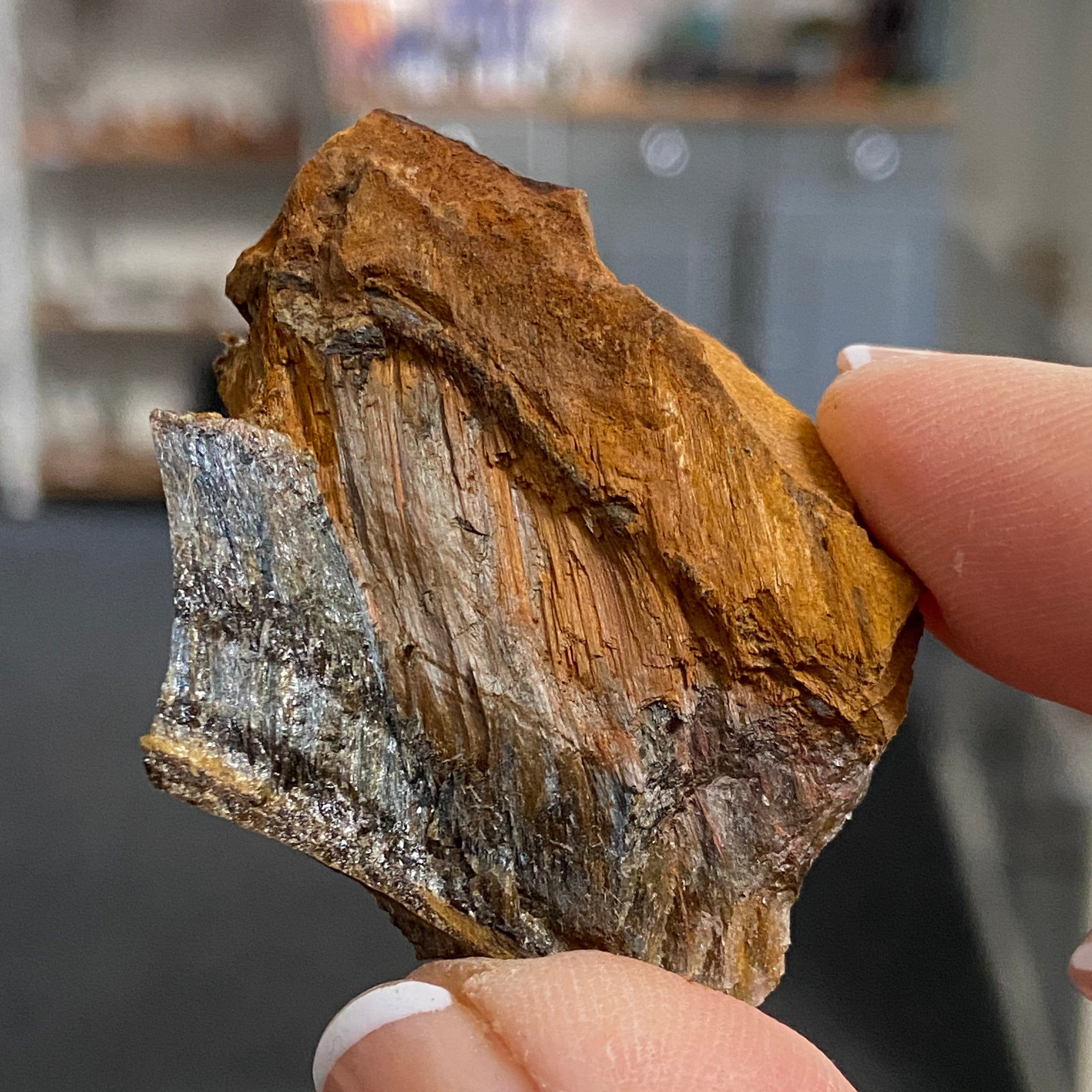 Tiger’s Eye – South Africa