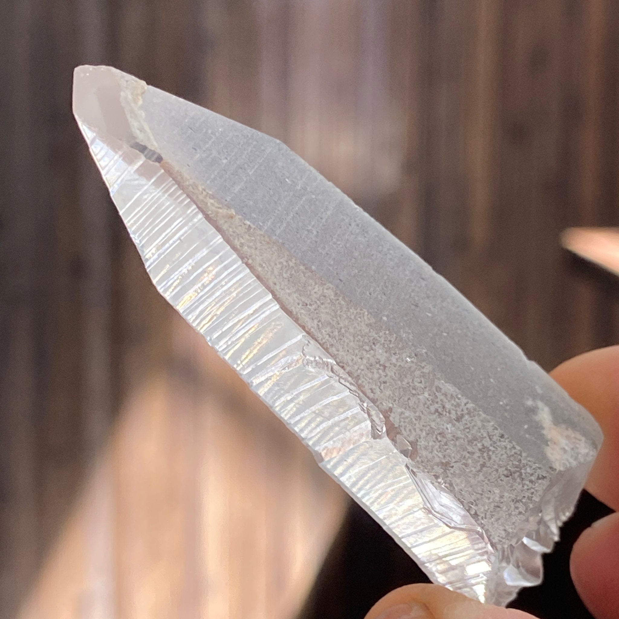 Lemurian Seed Crystal – Serra do Cabral, Brazil