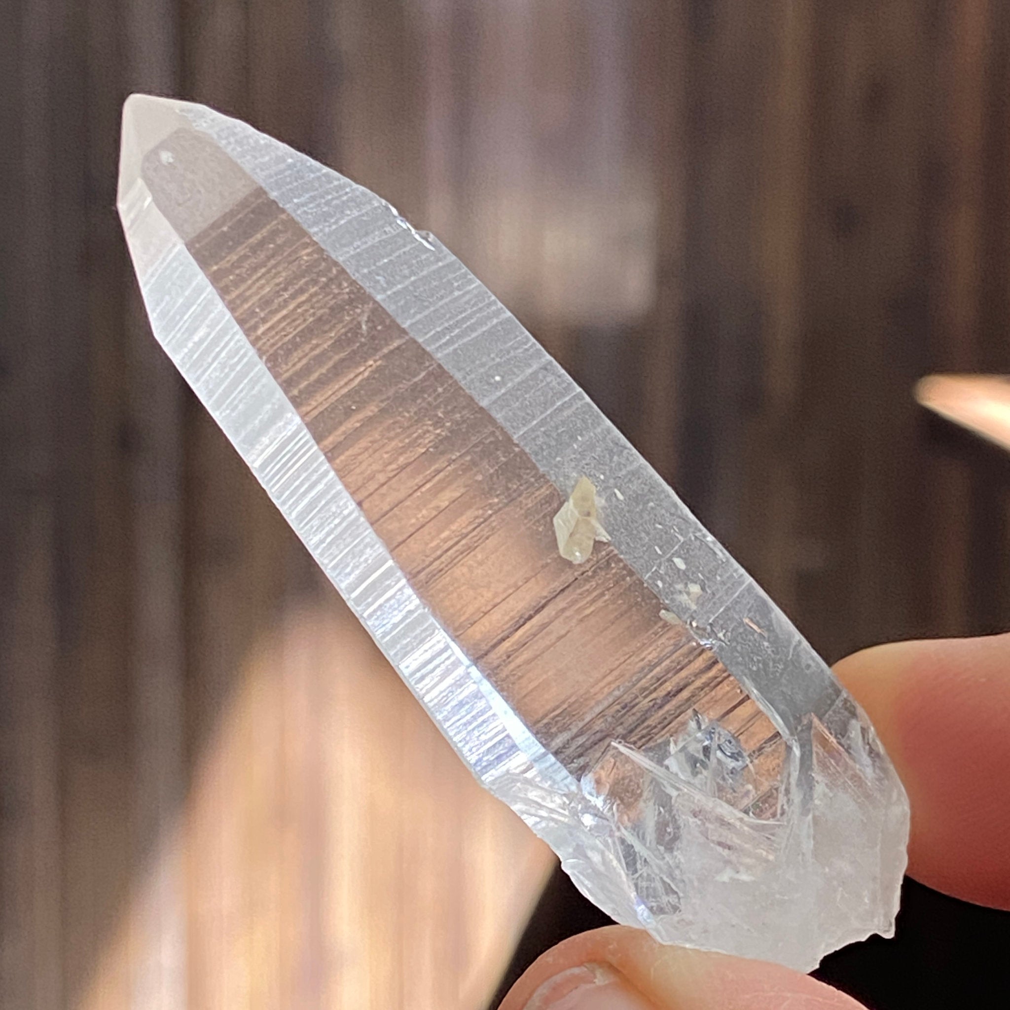 Lemurian Seed Crystal – Serra do Cabral, Brazil
