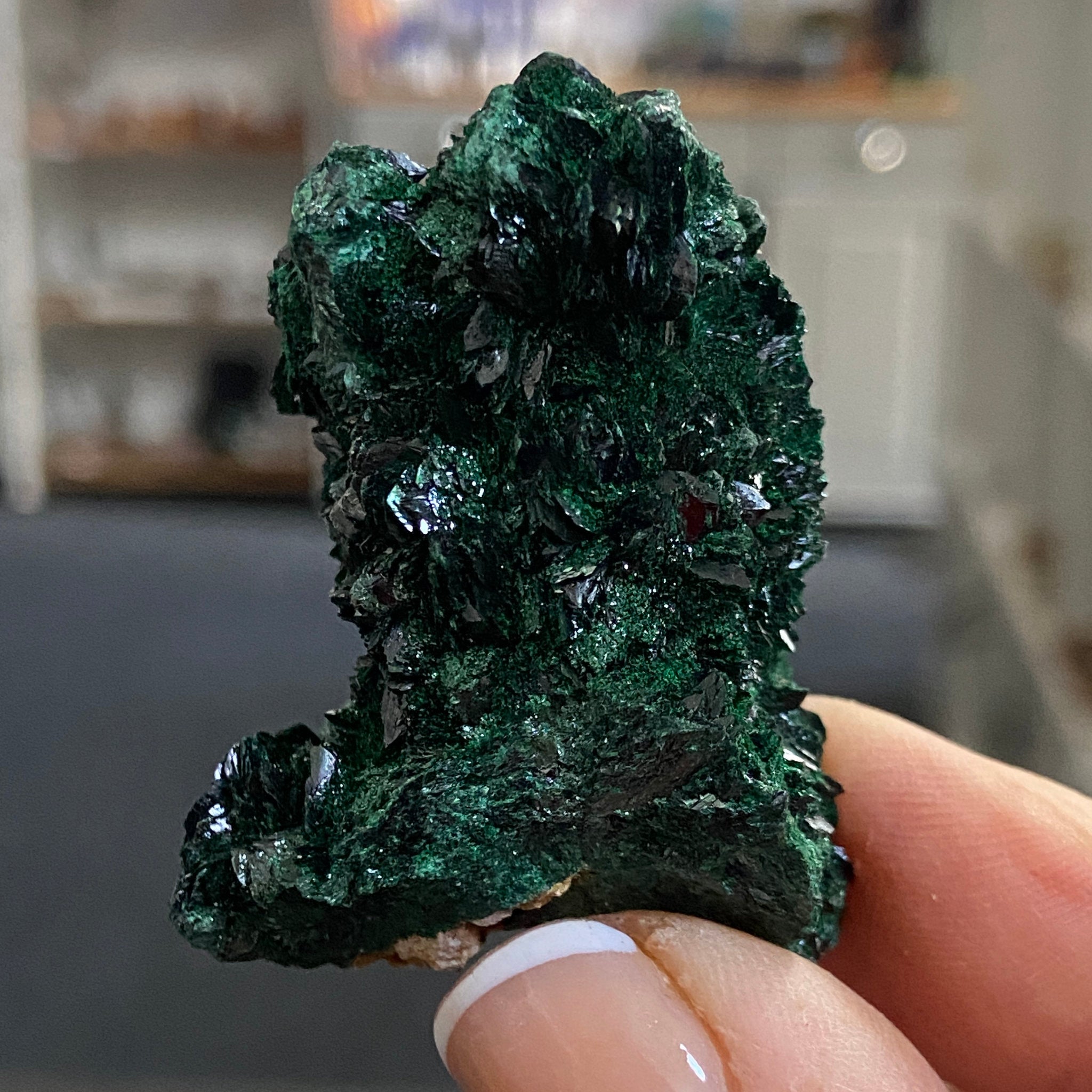 Velvet Malachite – Morocco