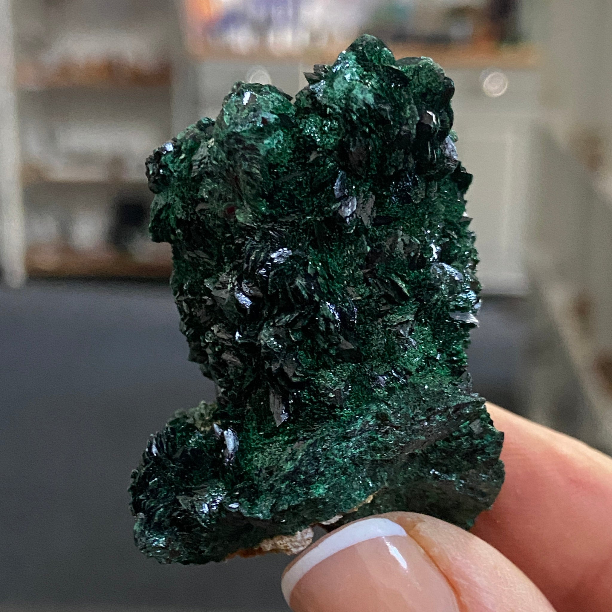 Velvet Malachite – Morocco
