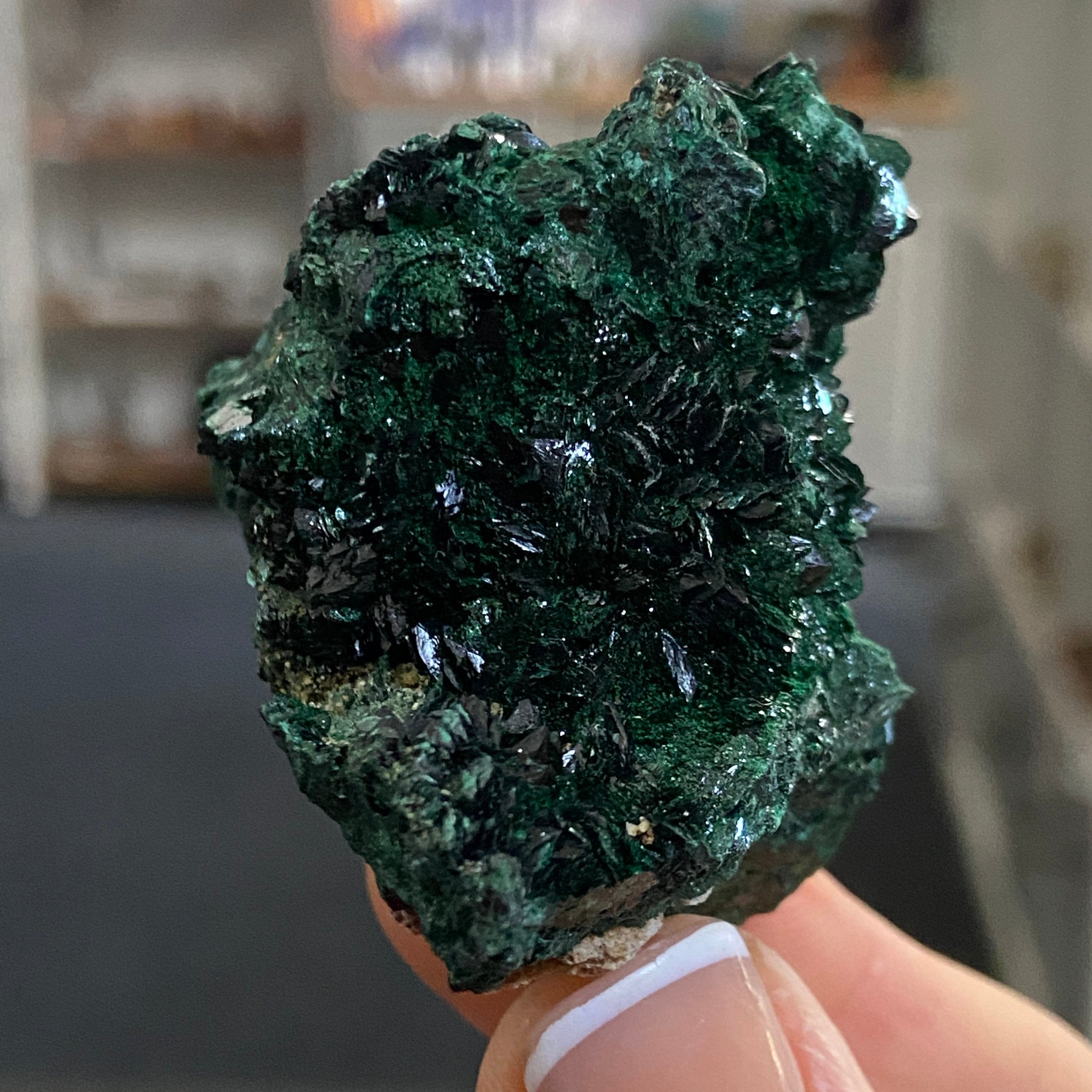 Velvet Malachite – Morocco
