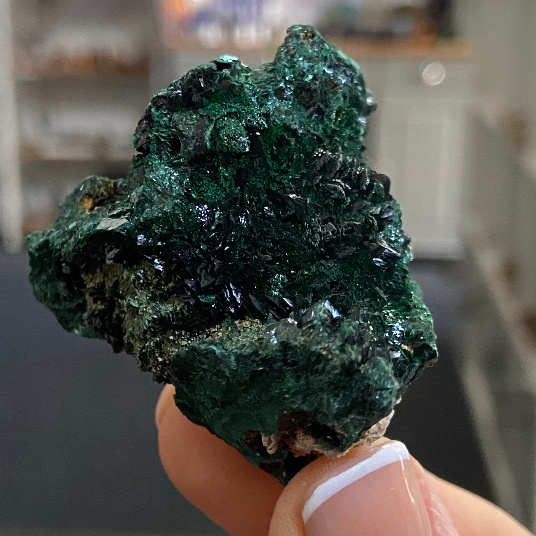 Velvet Malachite – Morocco