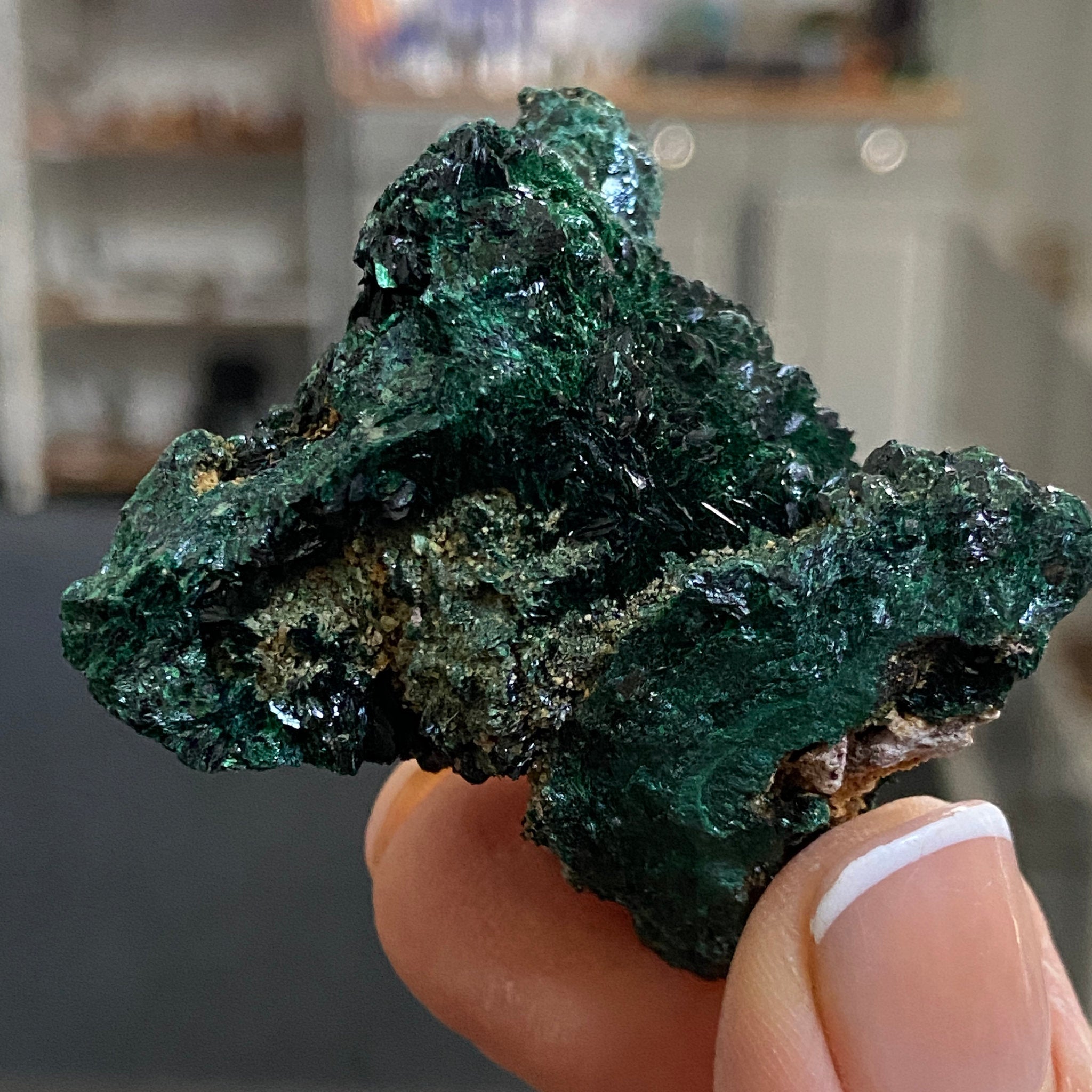 Velvet Malachite – Morocco